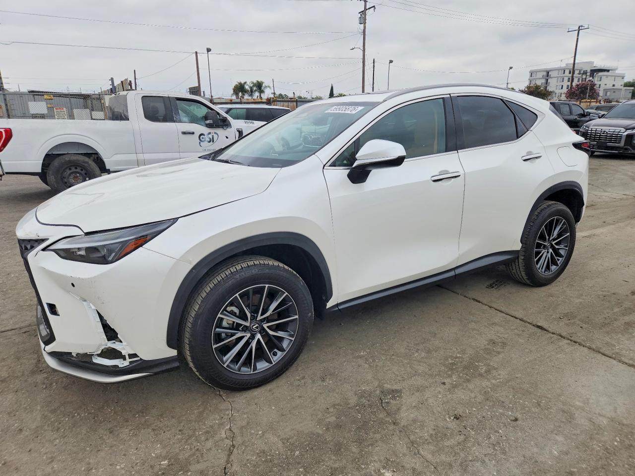 2024 LEXUS NX