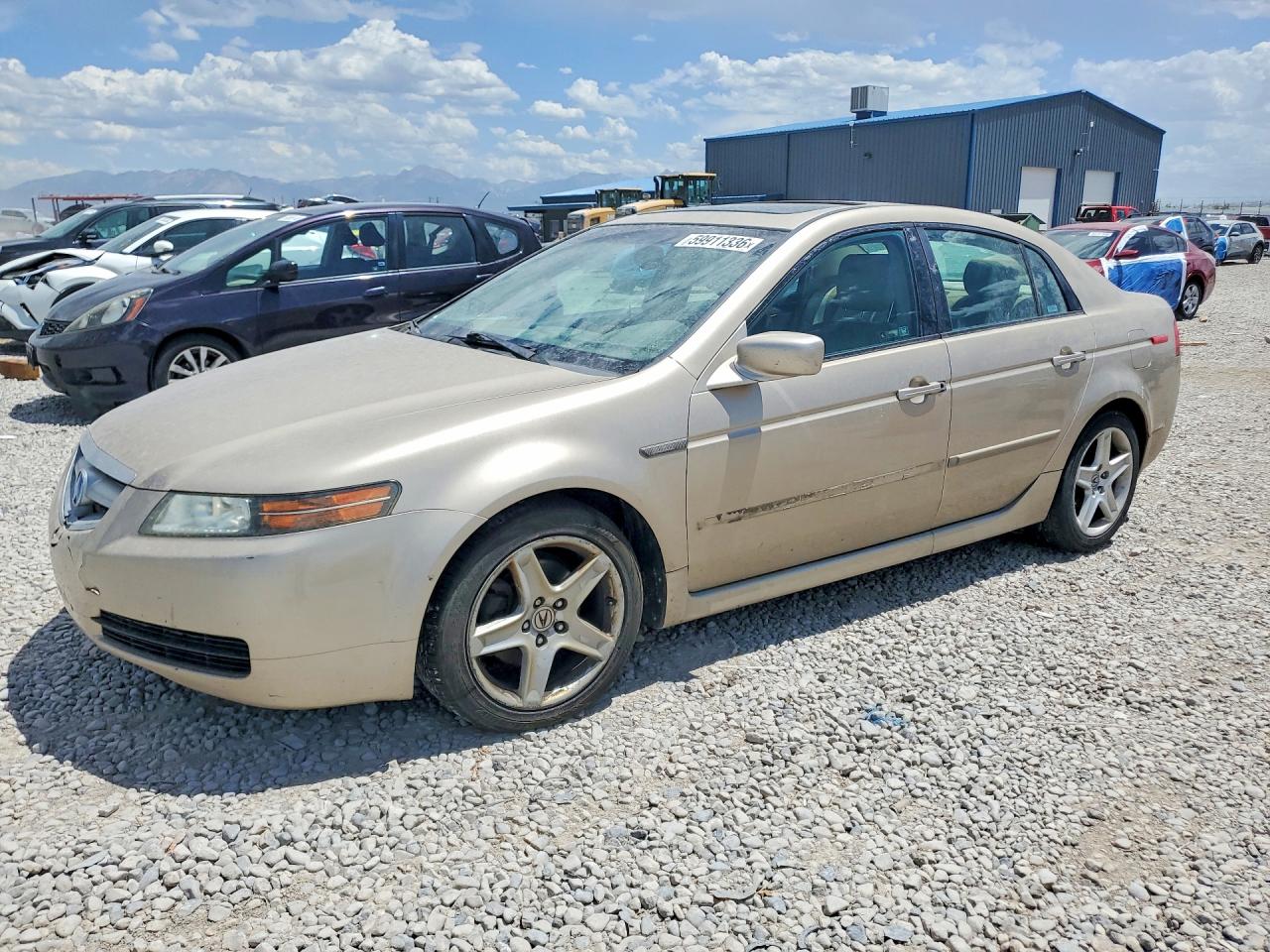 2006 ACURA TL