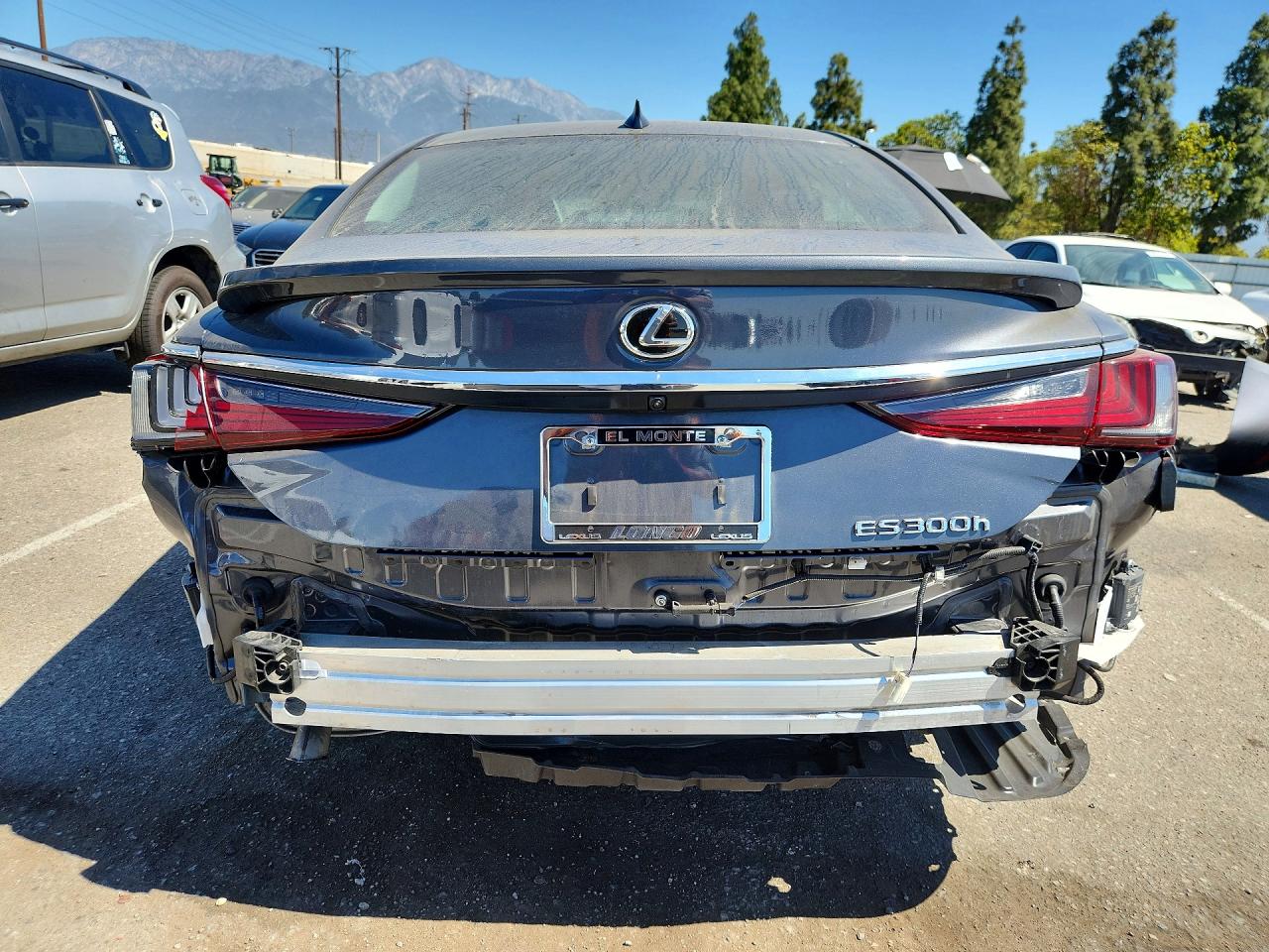 2025 LEXUS ES300