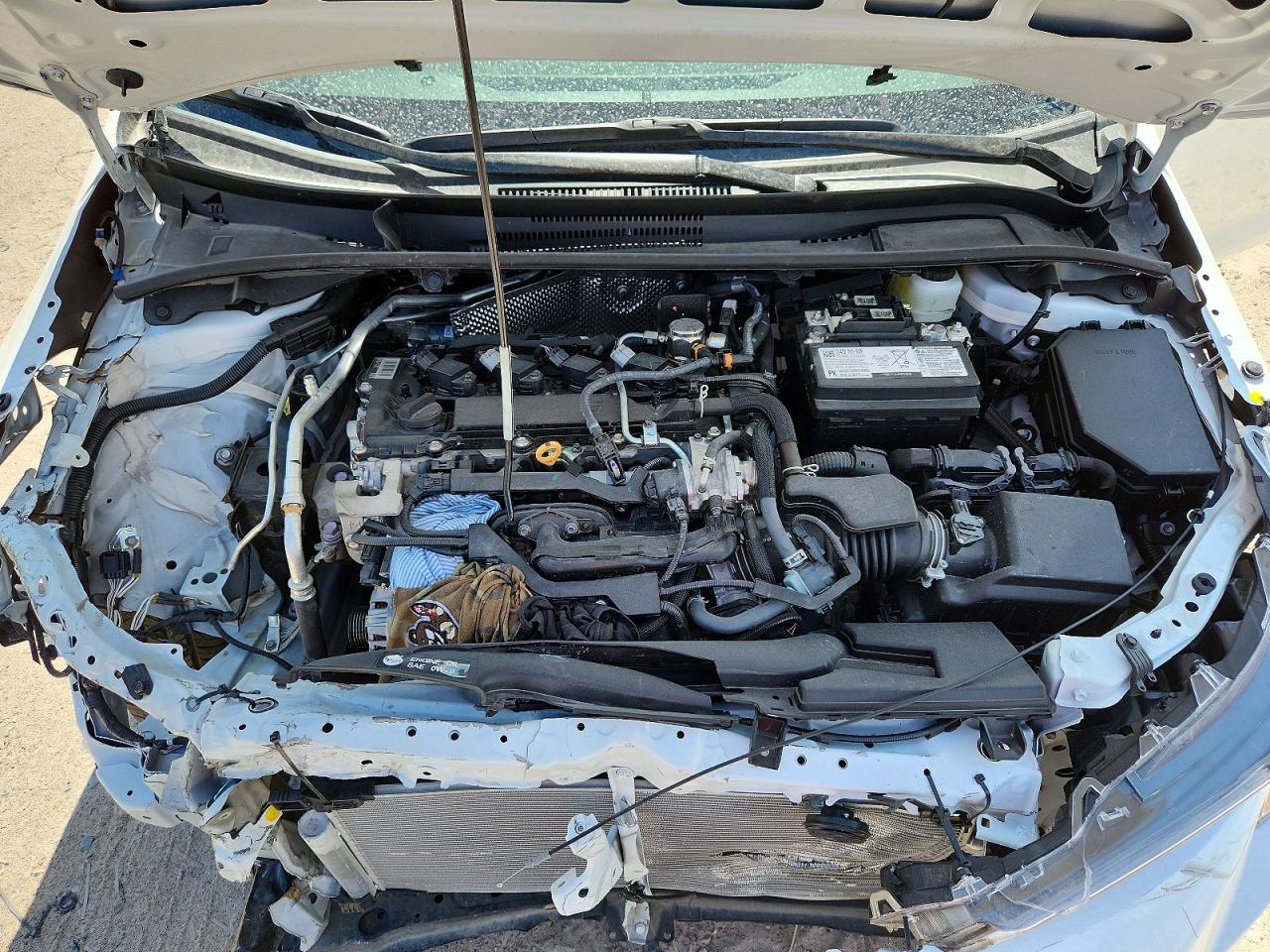 2026 TOYOTA COROLLA