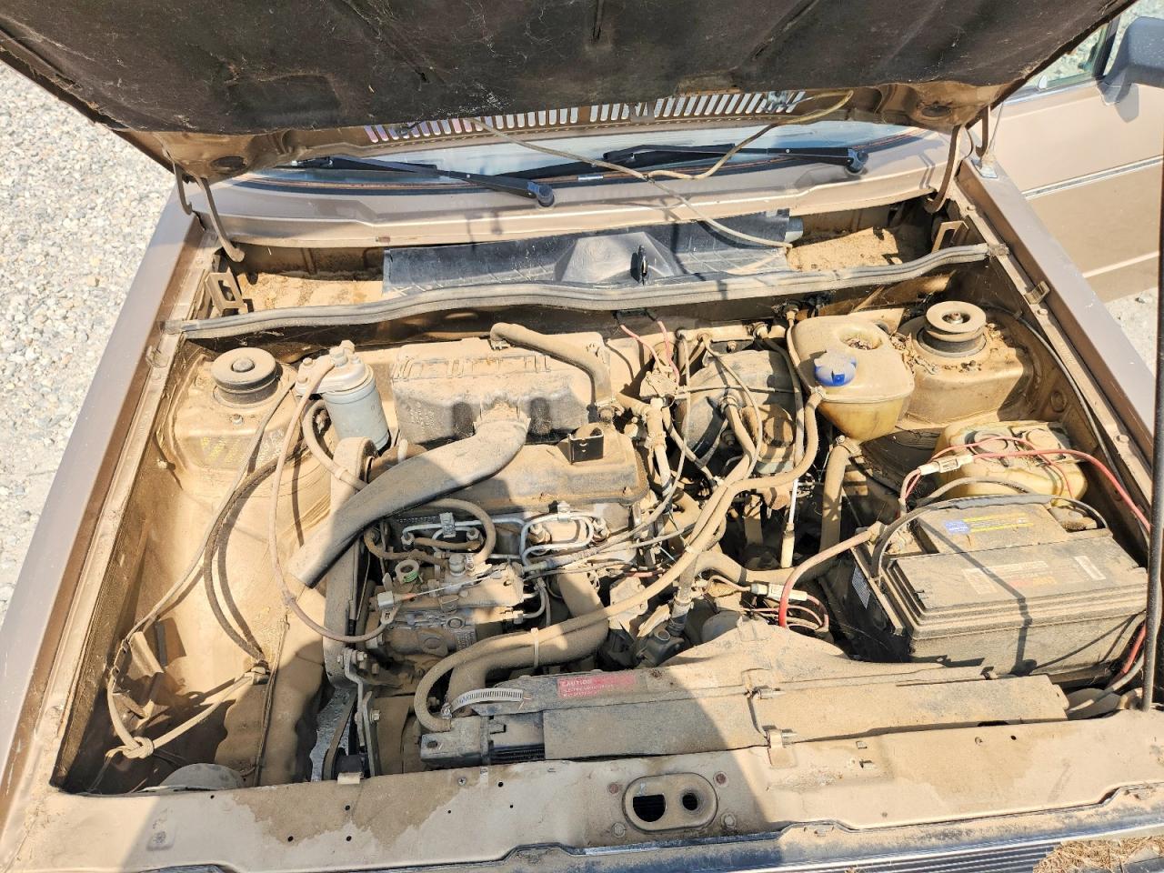 1981 VOLKSWAGEN RABBIT