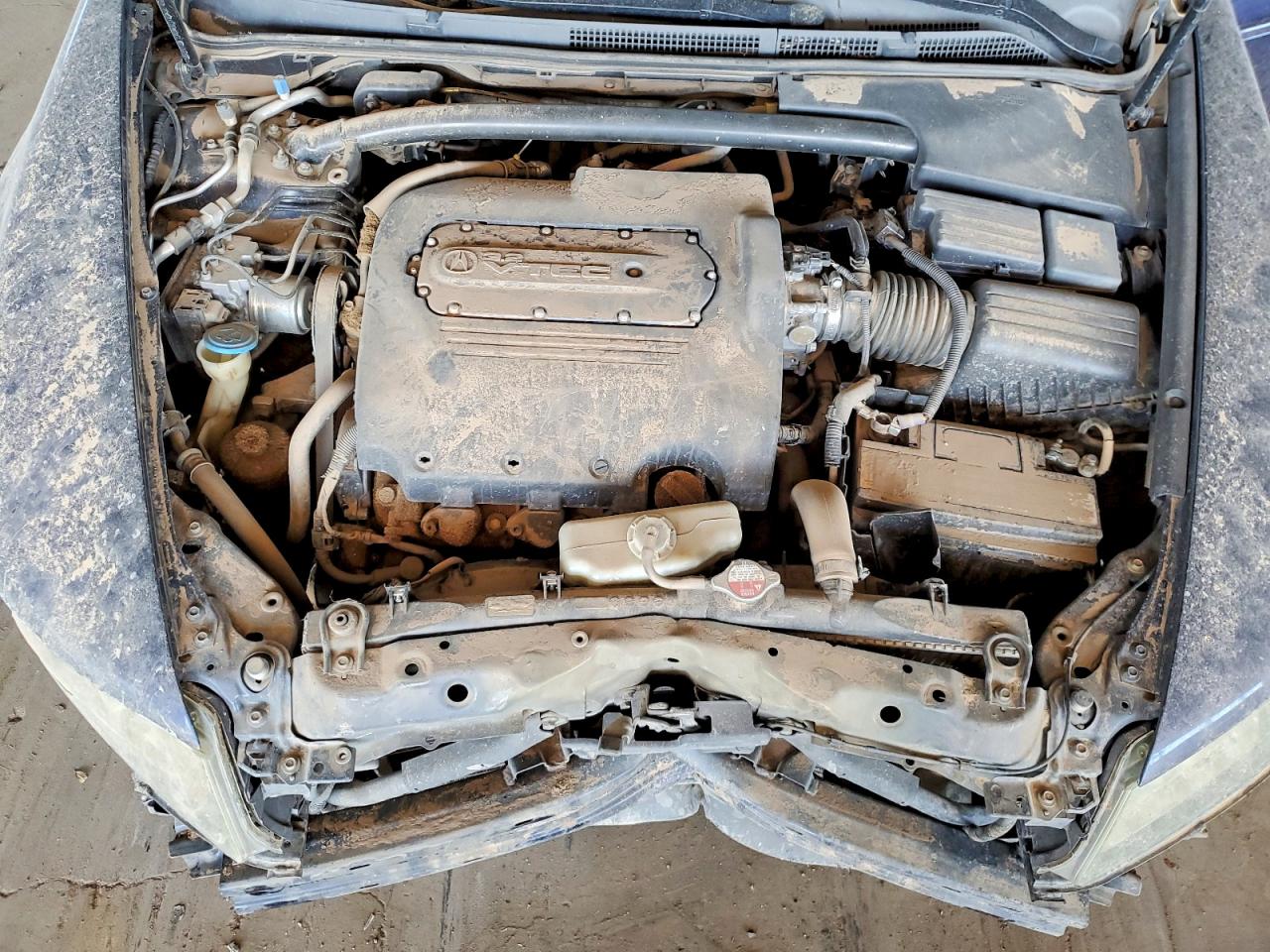 2006 ACURA TL