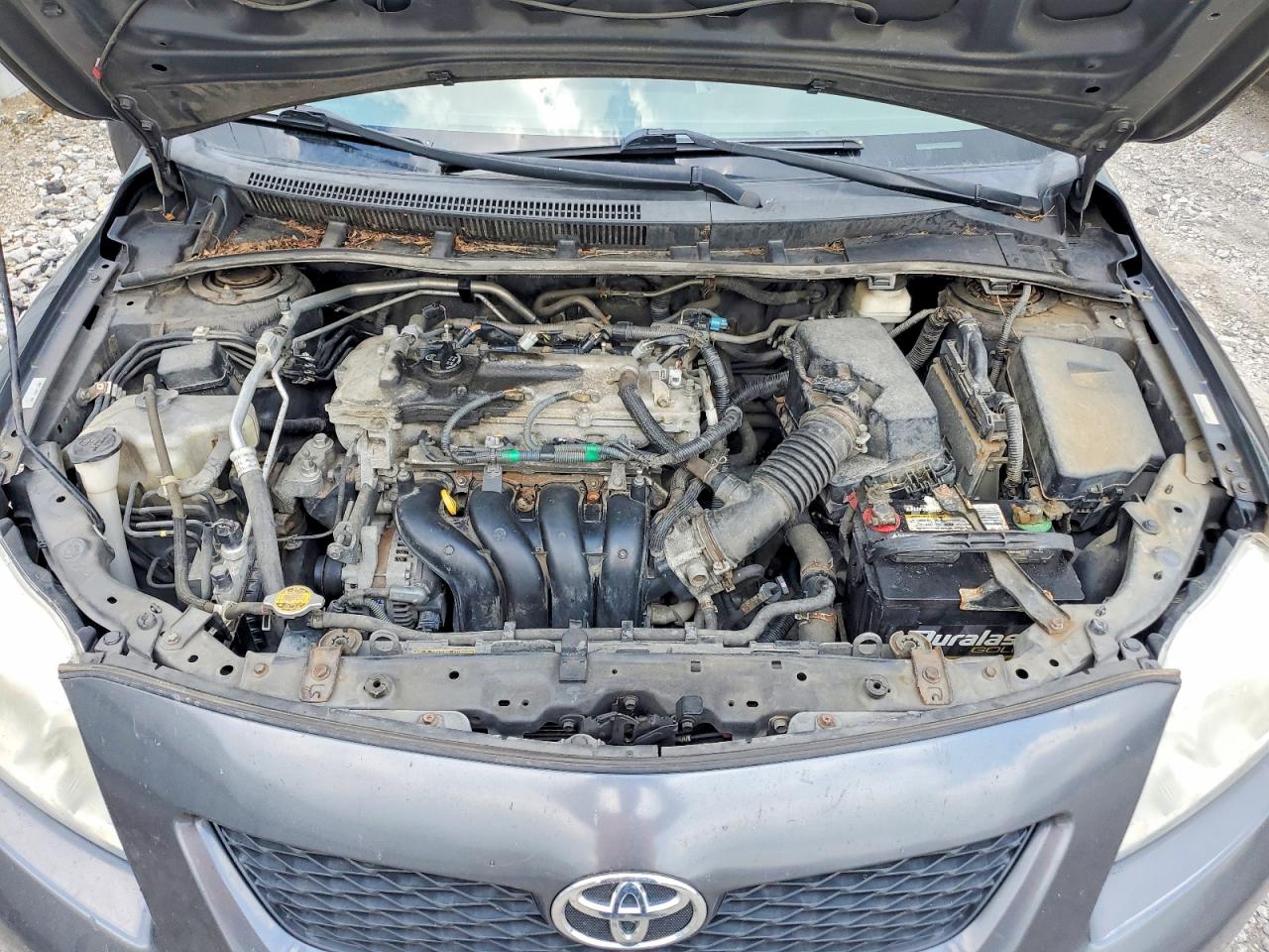 2010 TOYOTA COROLLA