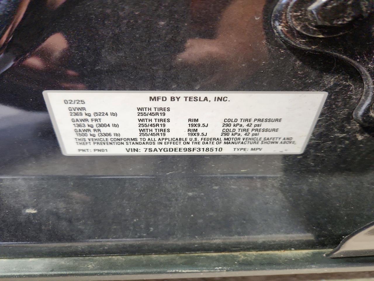 2025 TESLA MODEL Y