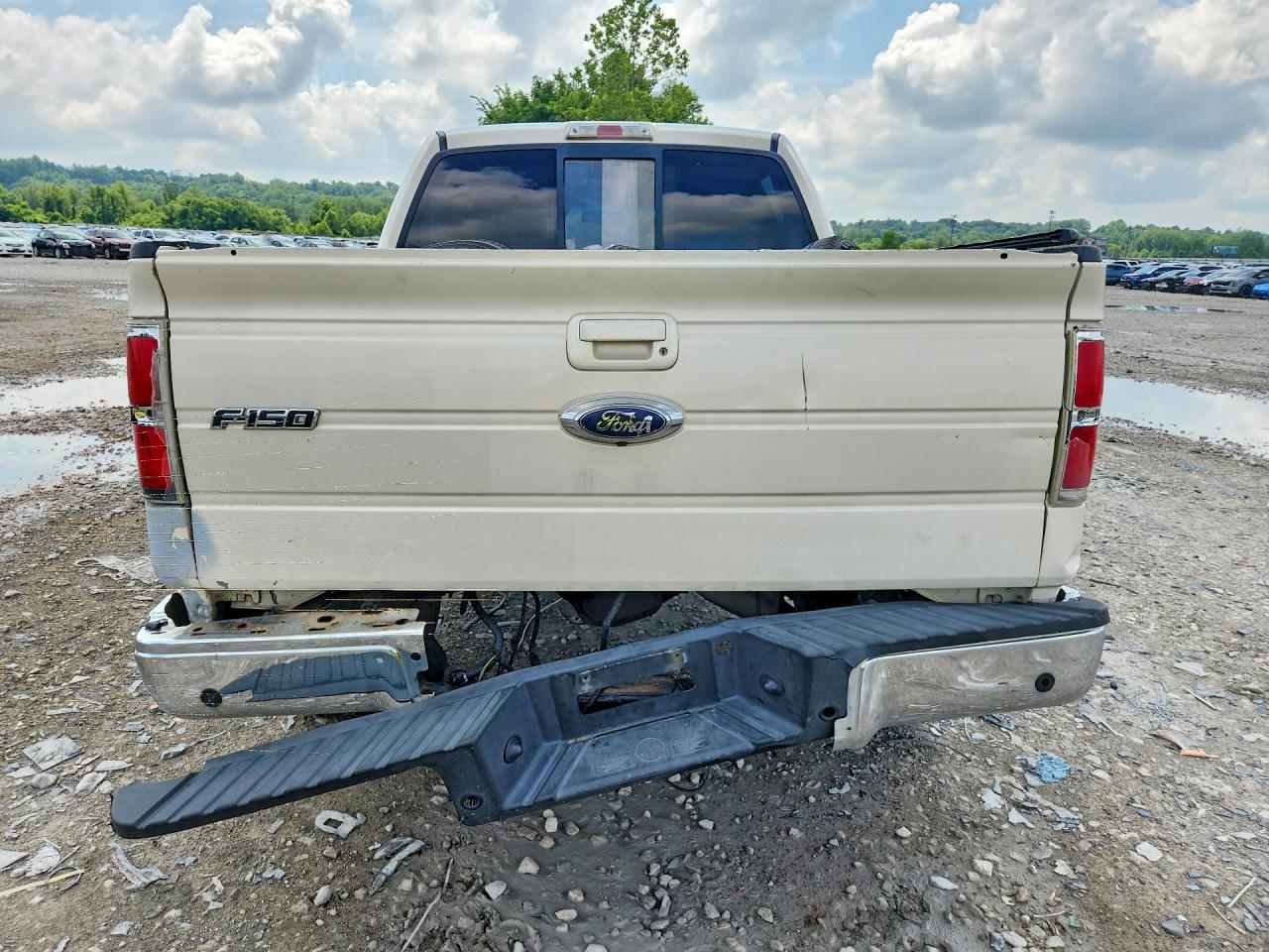 2009 FORD F-150