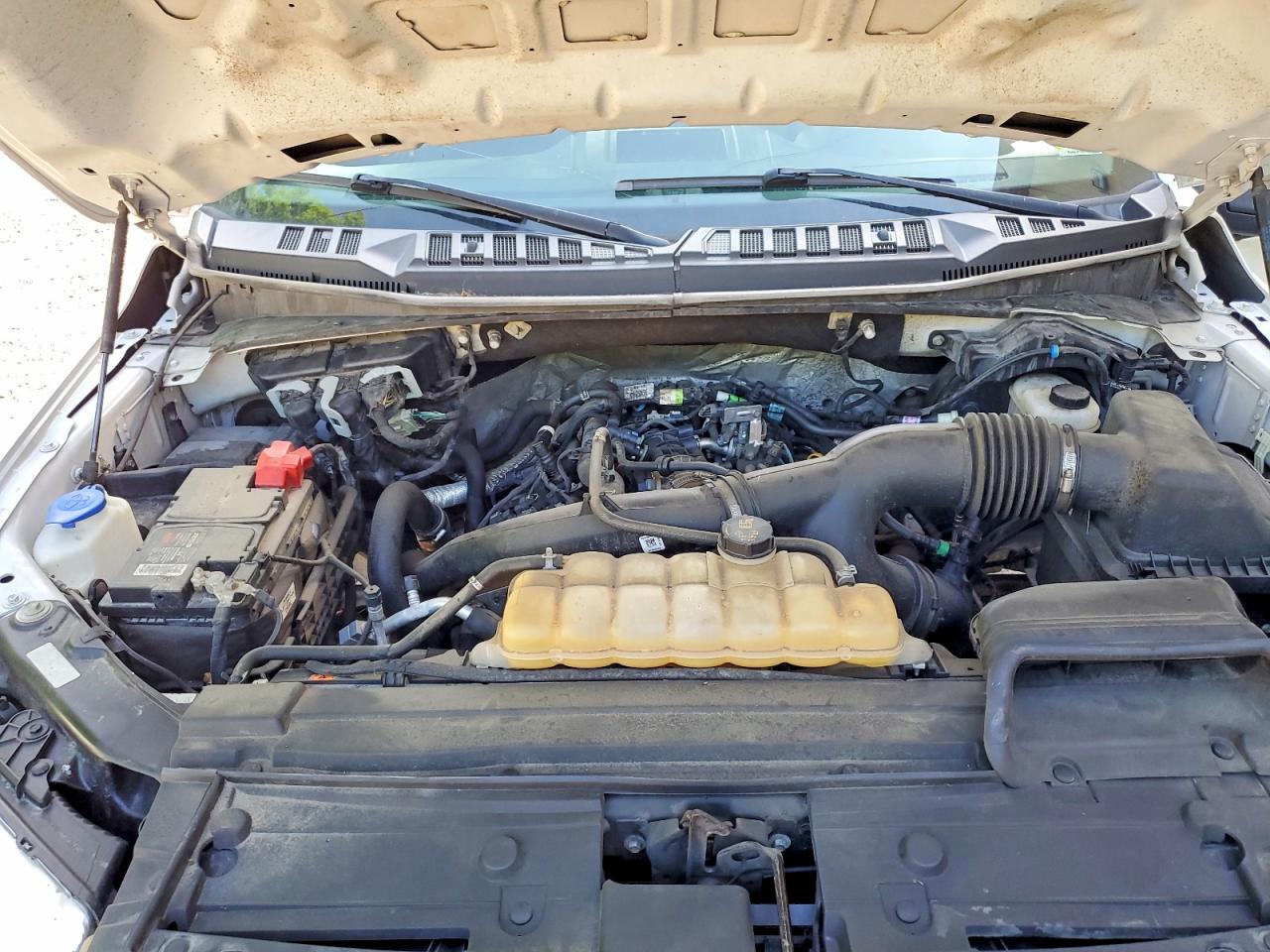 2019 FORD F150