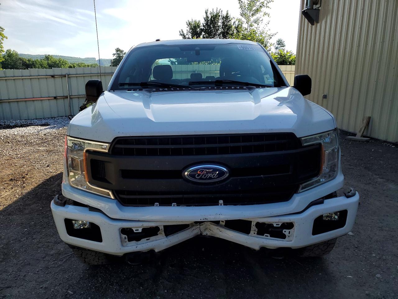 2019 FORD F150