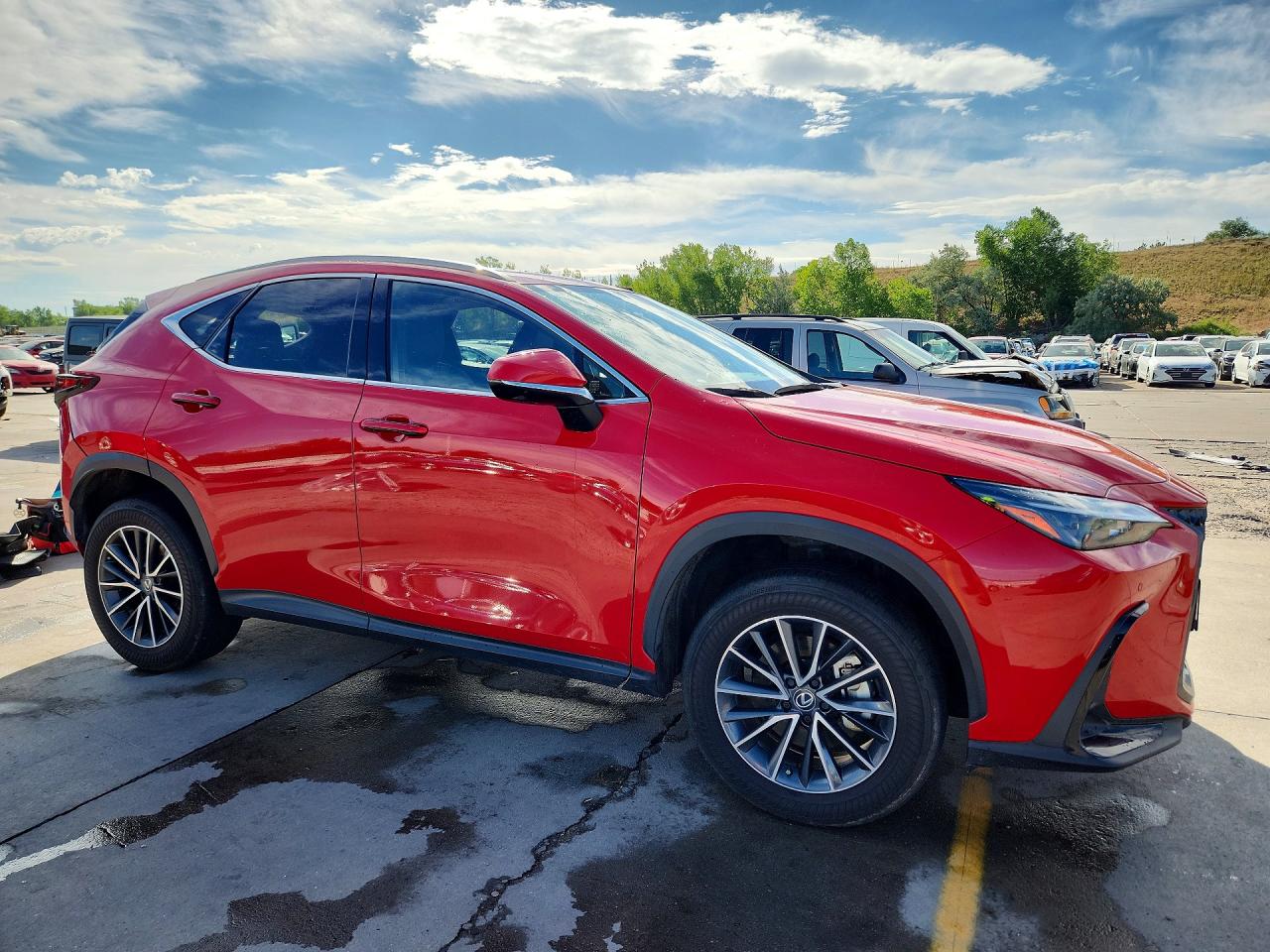 2024 LEXUS NX