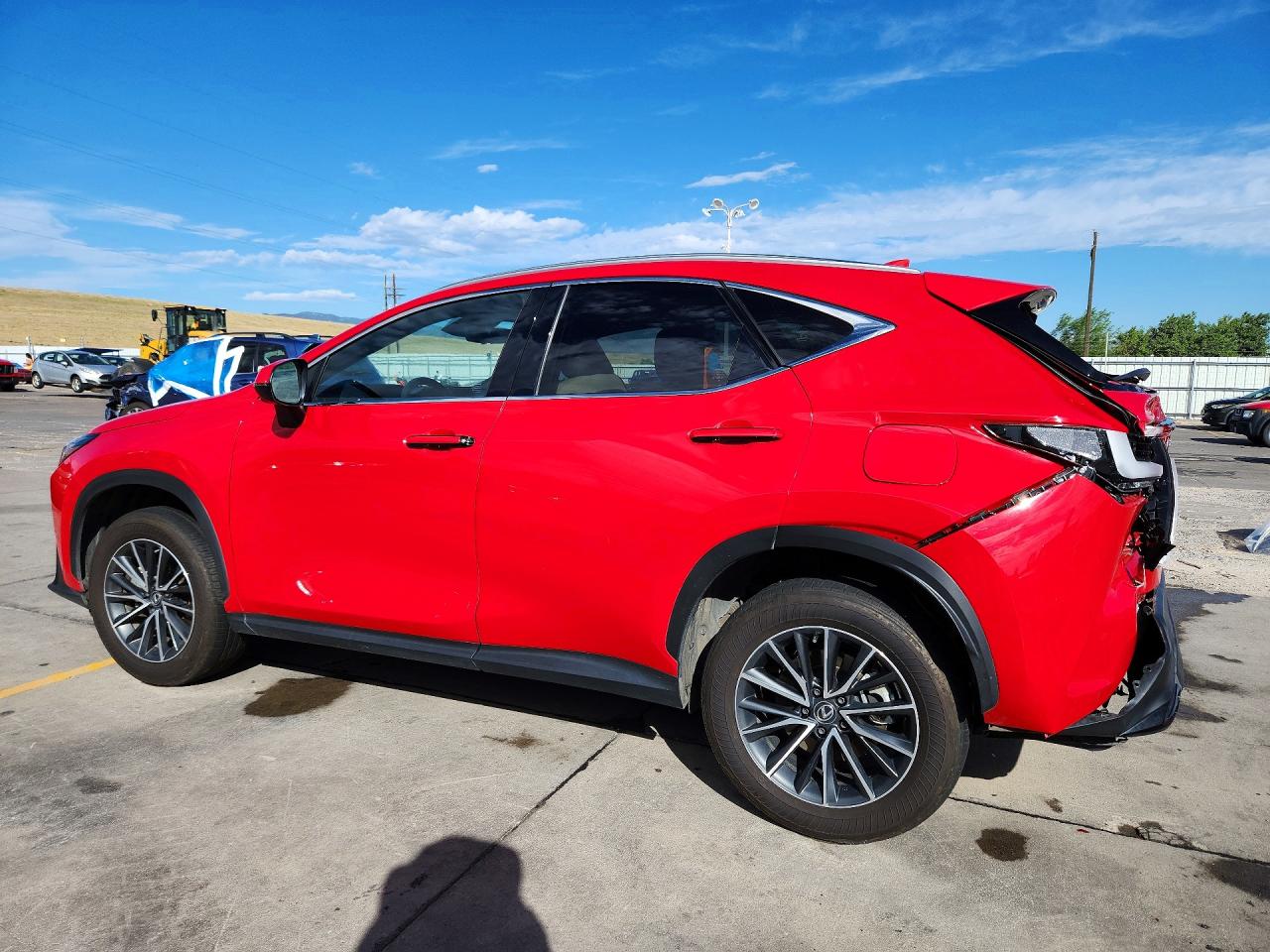 2024 LEXUS NX