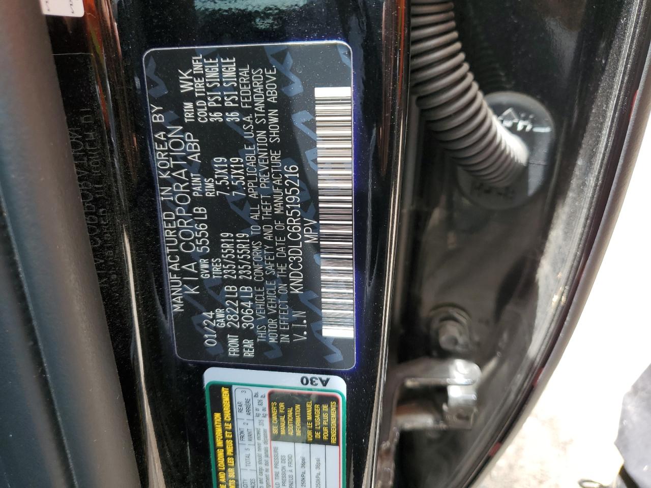 2024 KIA ALL OTHER