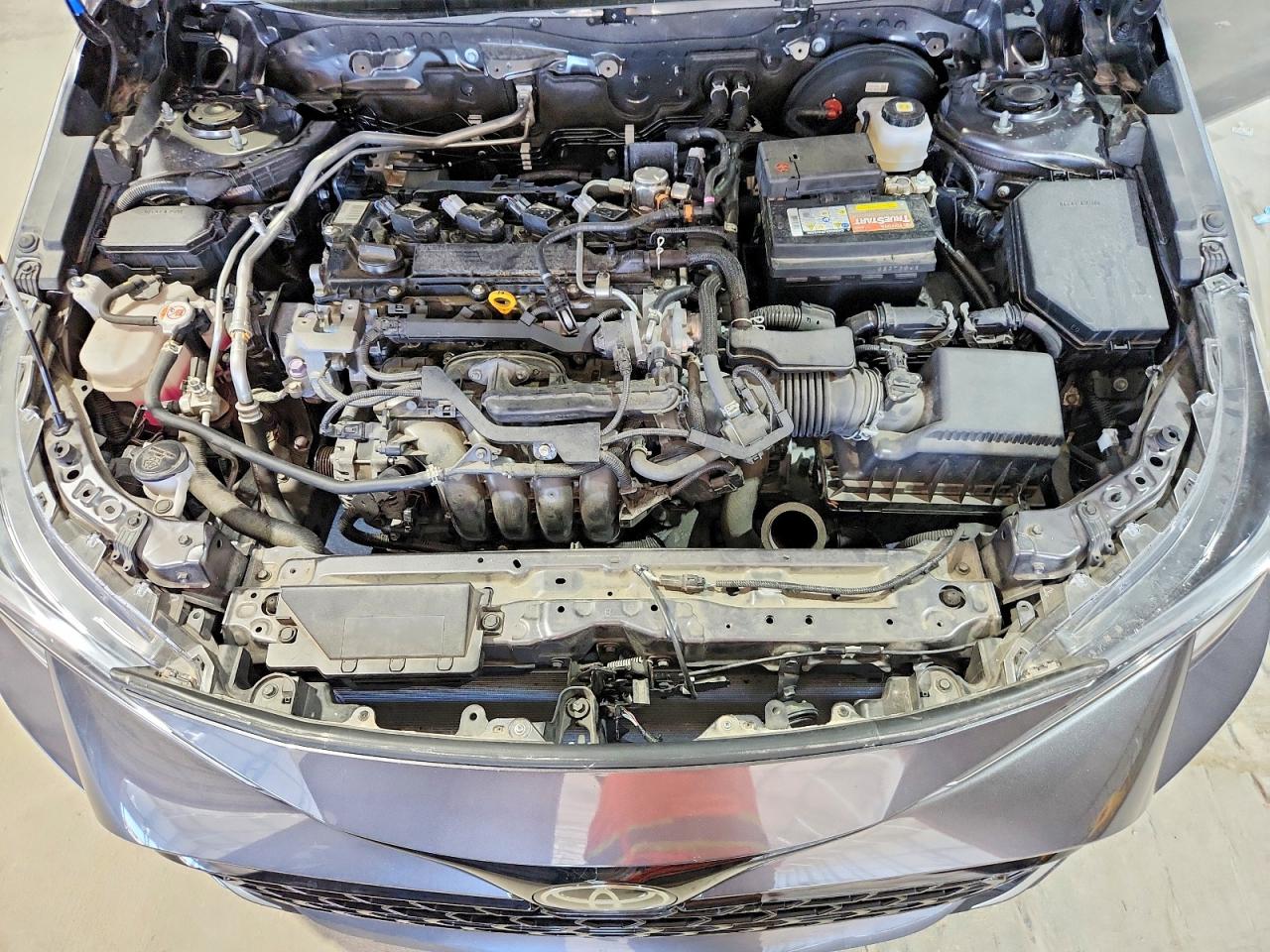 2023 TOYOTA COROLLA