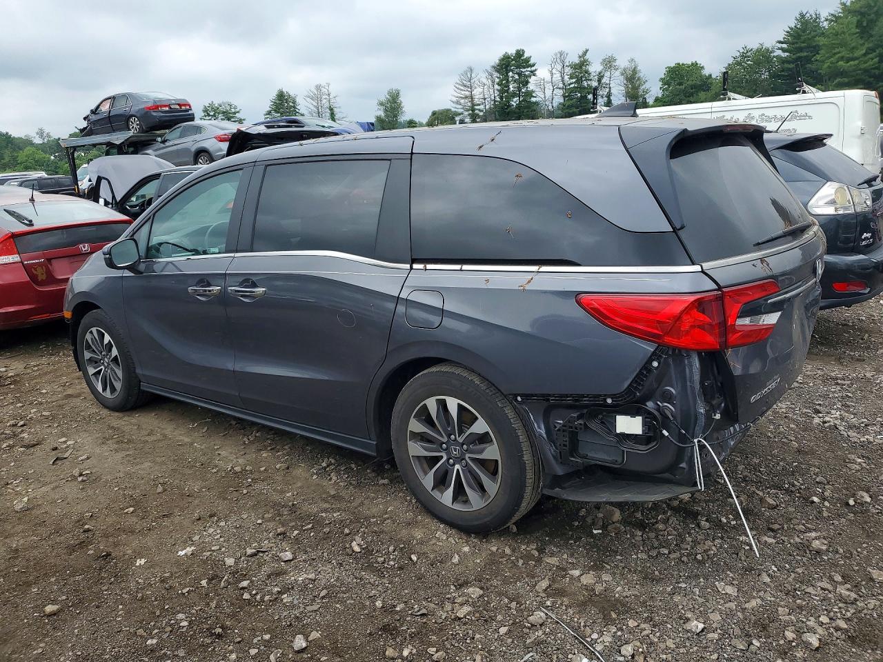 2024 HONDA ODYSSEY