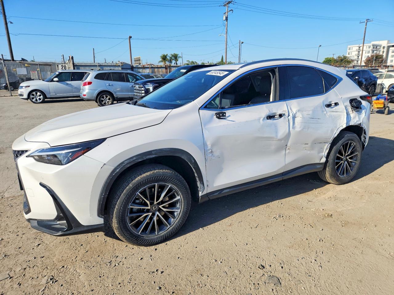 2024 LEXUS NX
