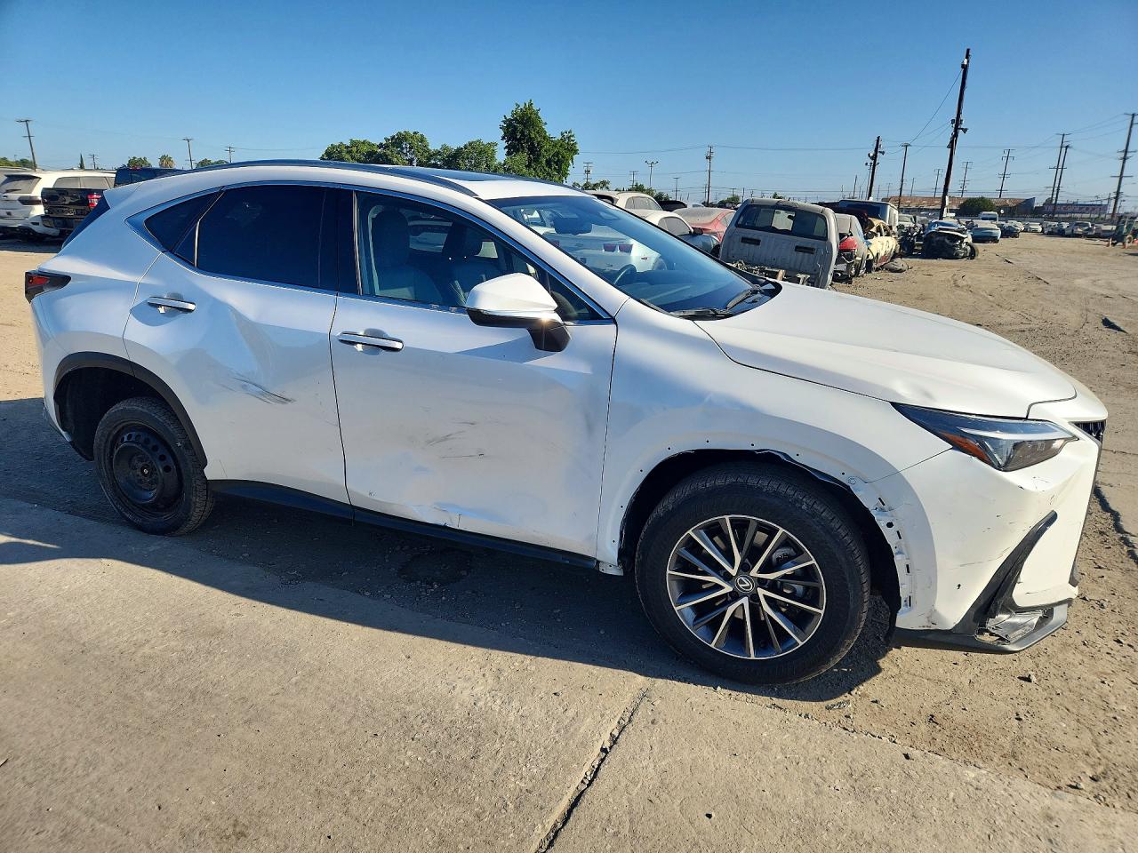 2024 LEXUS NX