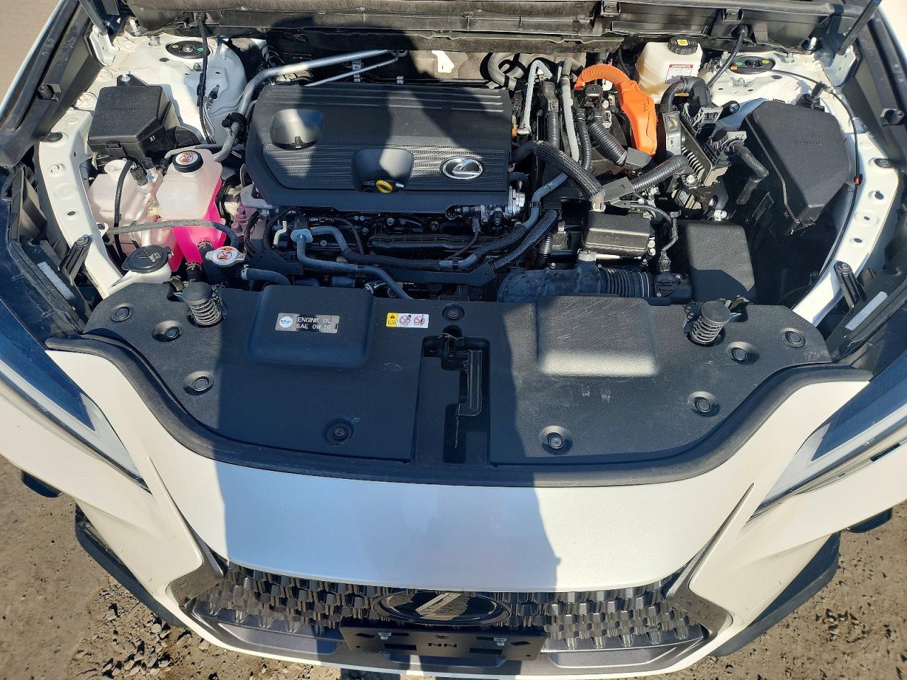 2024 LEXUS NX