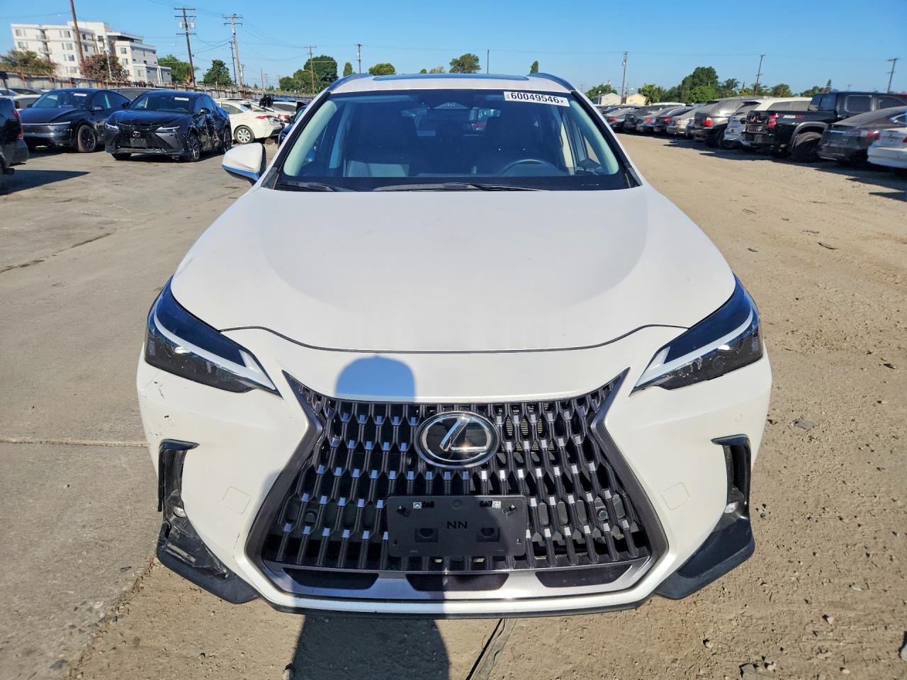 2024 LEXUS NX