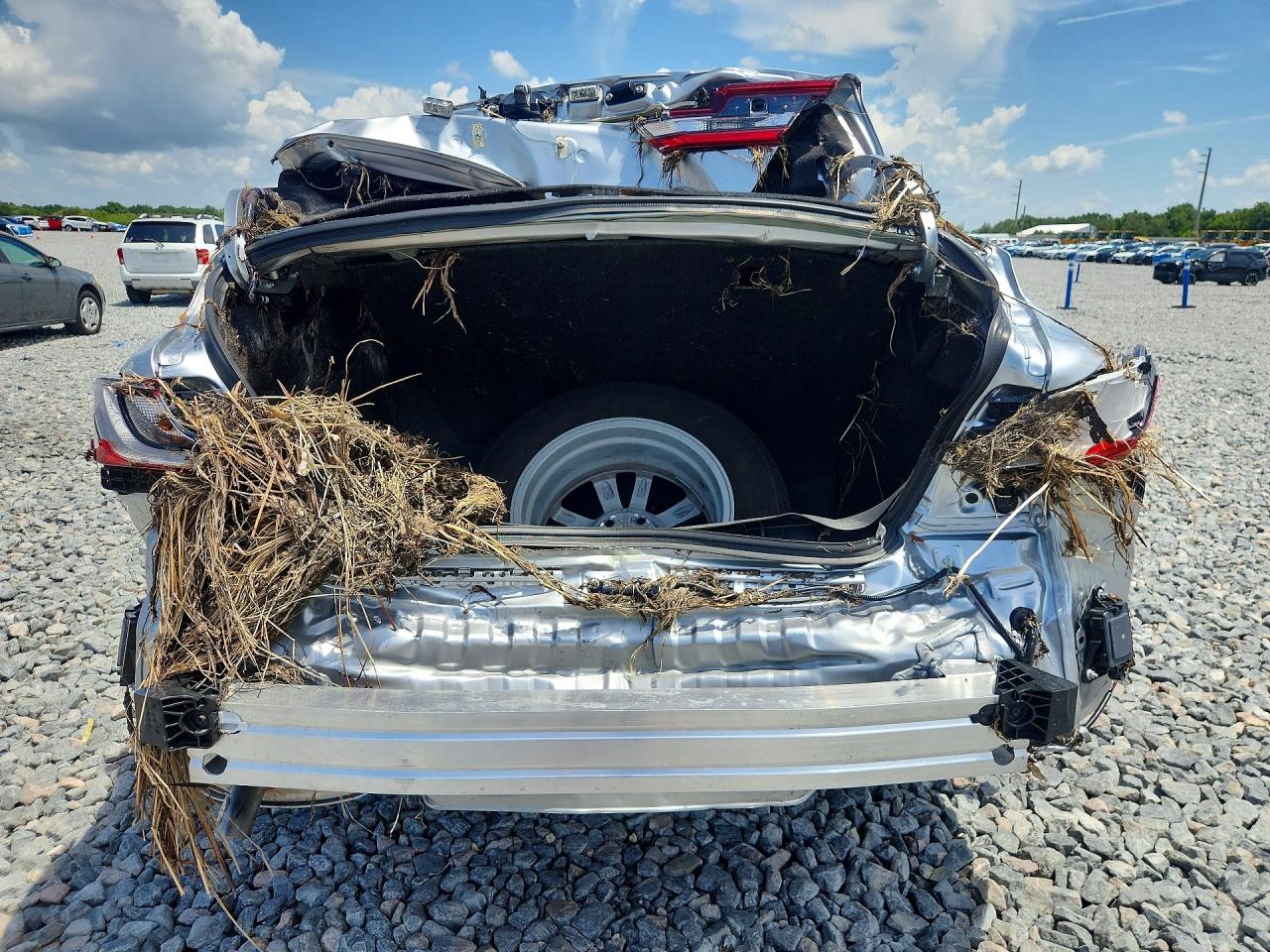 2026 TOYOTA CAMRY