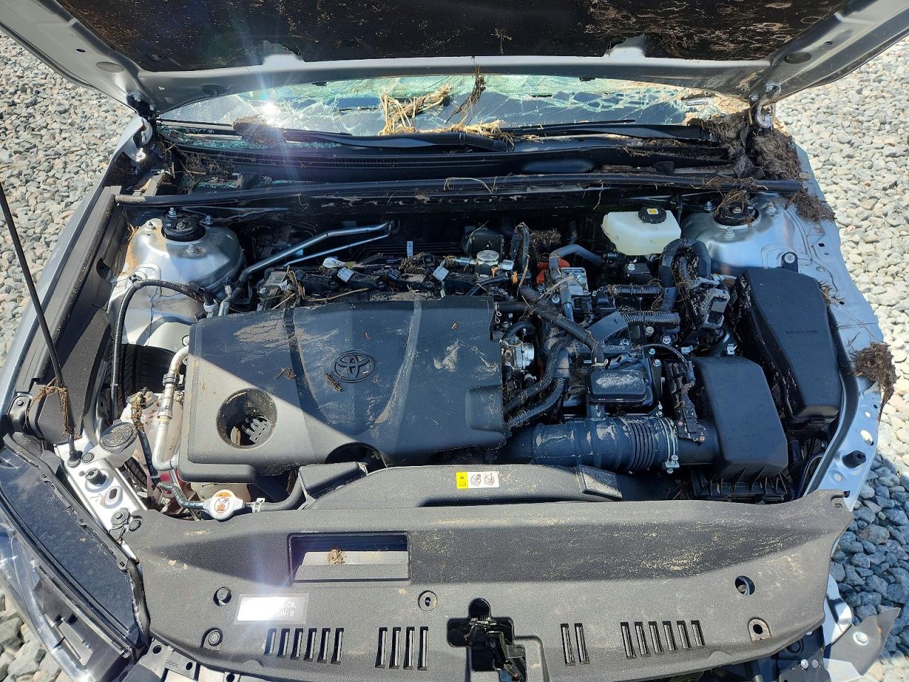 2026 TOYOTA CAMRY