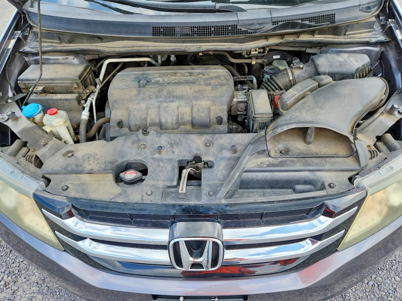 2014 HONDA All Models