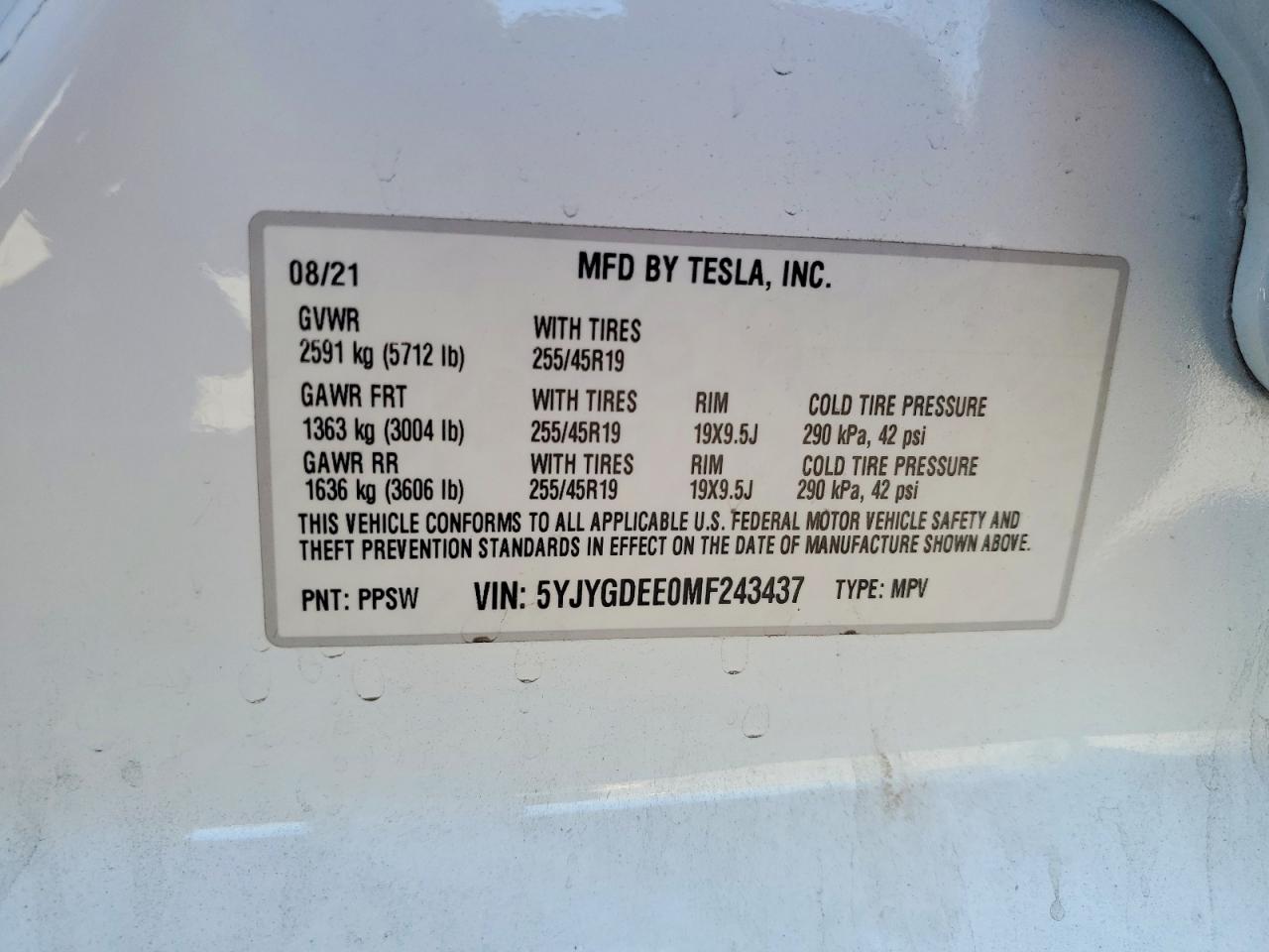 2021 TESLA MODEL Y