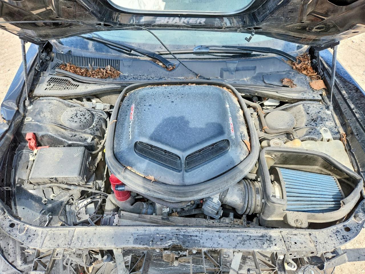 2019 DODGE CHALLENGER