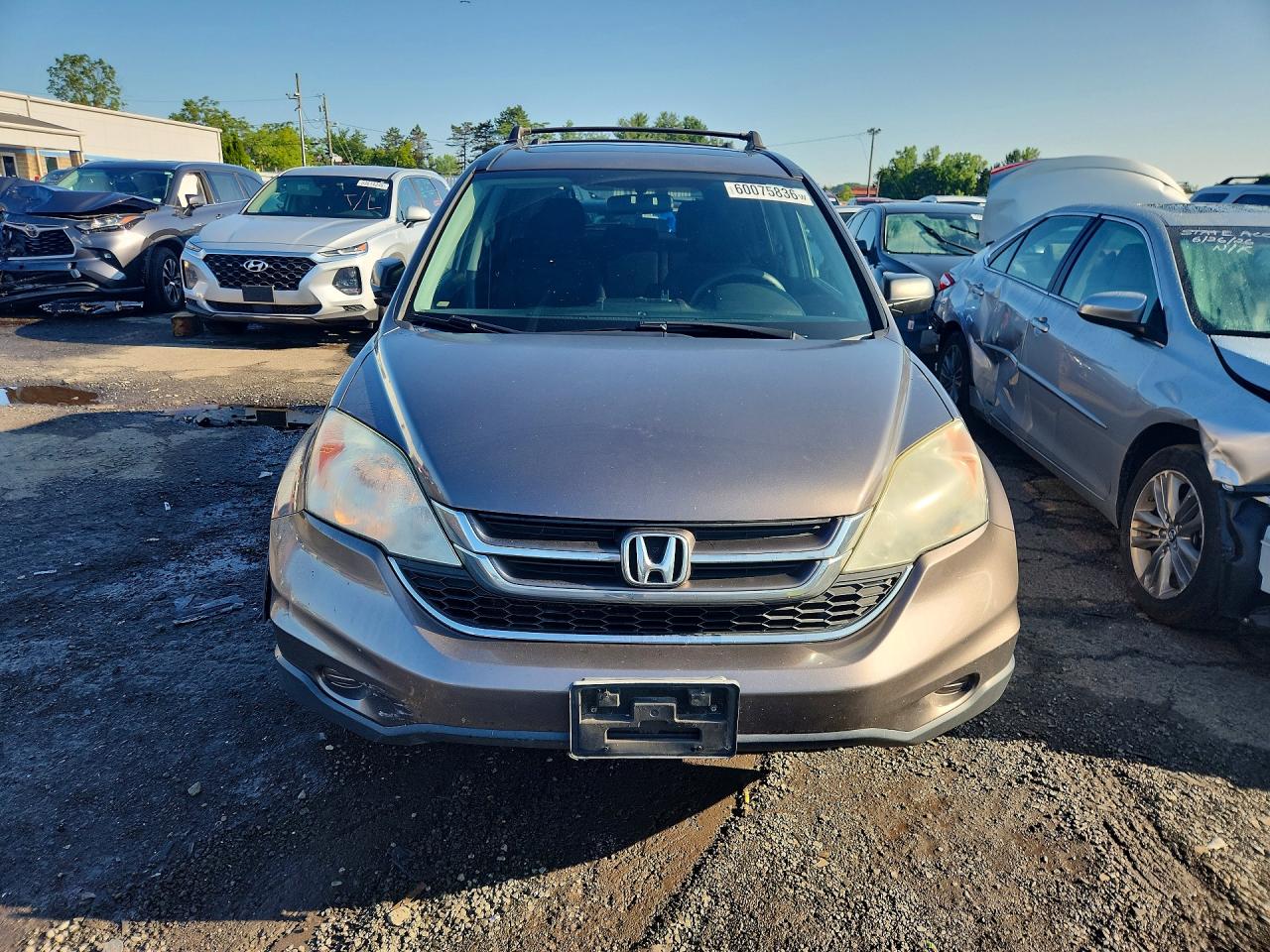 2010 HONDA CRV