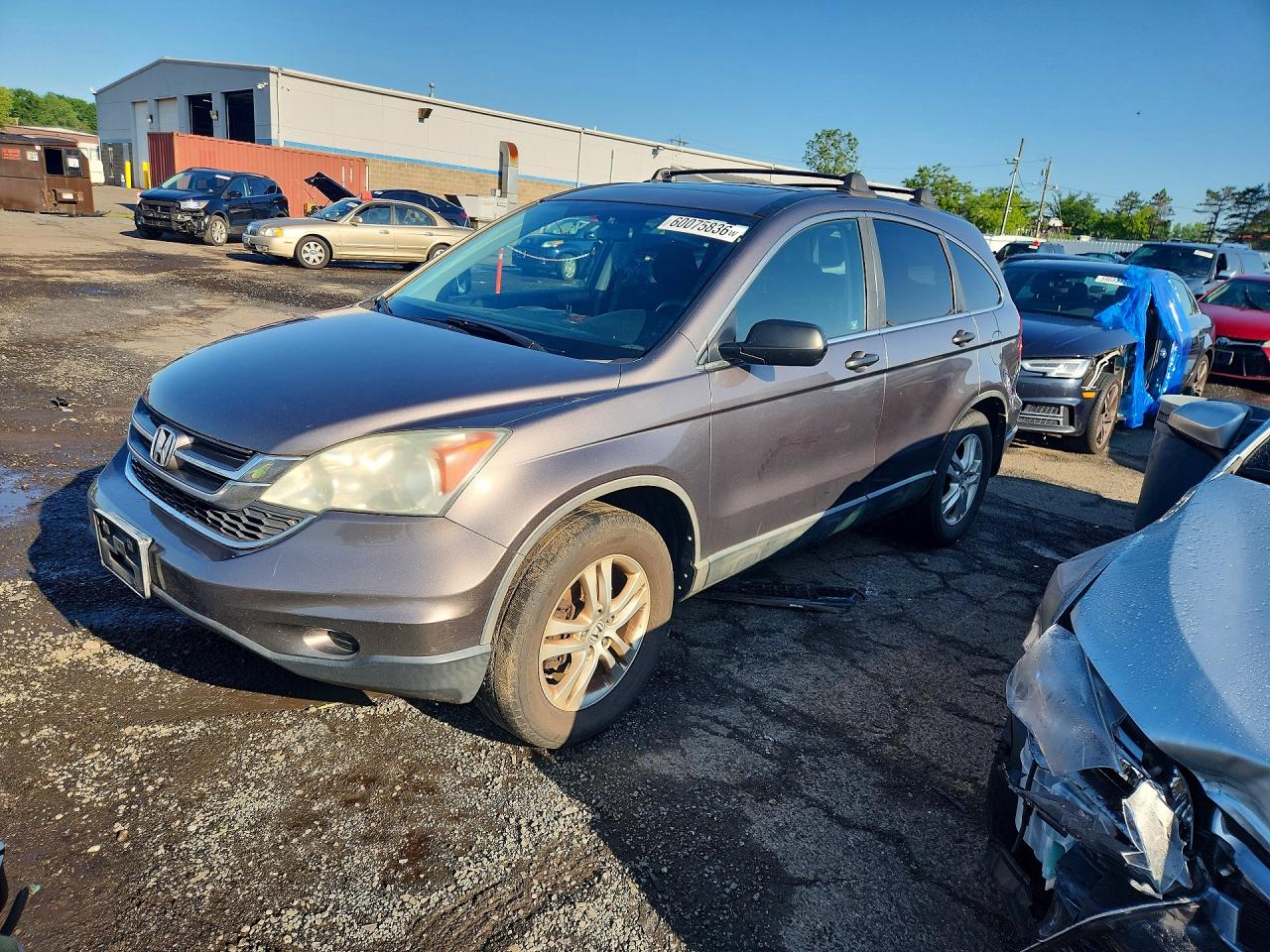 2010 HONDA CRV