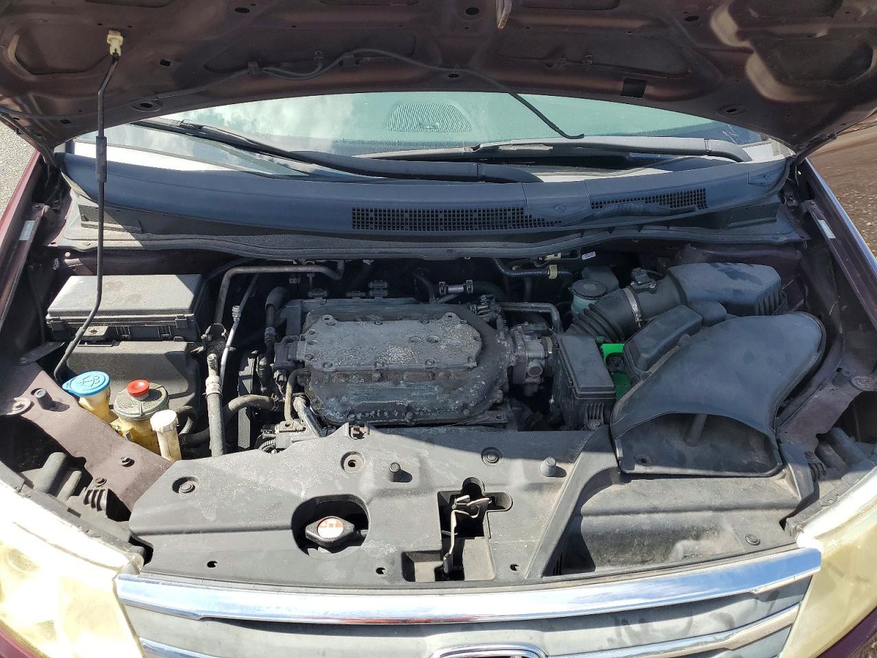 2011 HONDA All Models