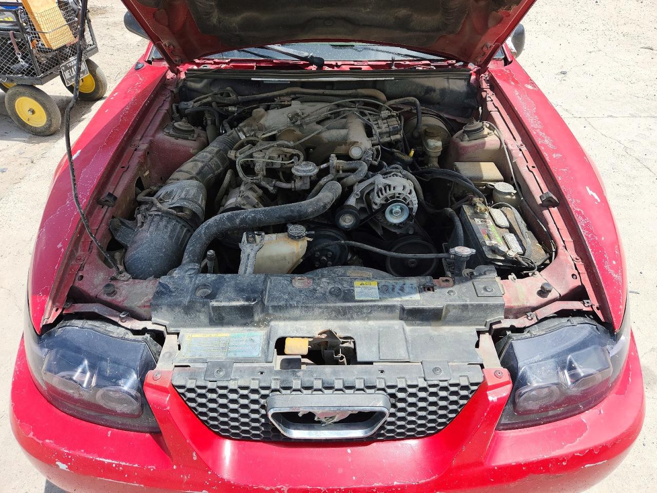 2003 FORD MUSTANG