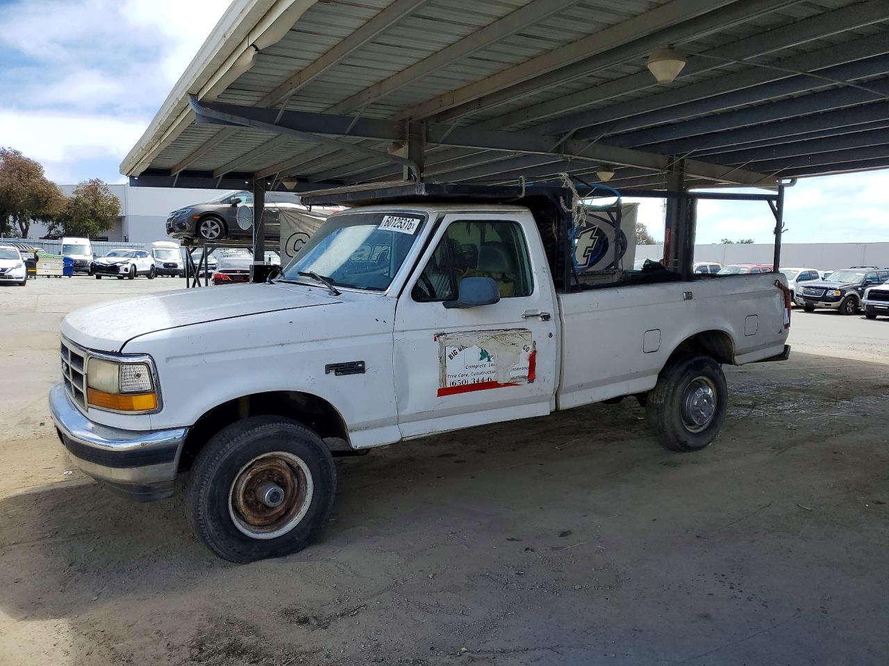1996 FORD All Models