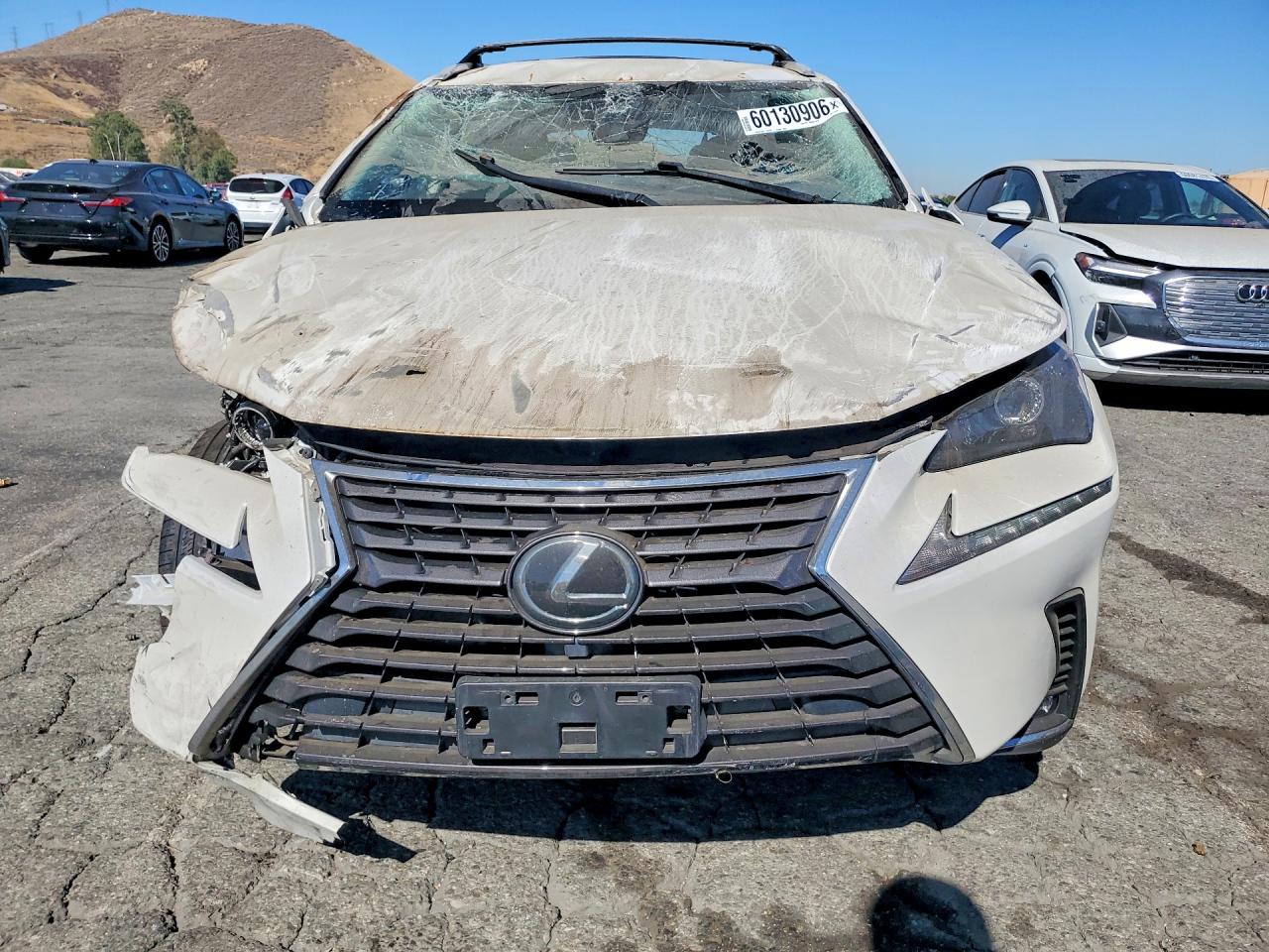2020 LEXUS NX