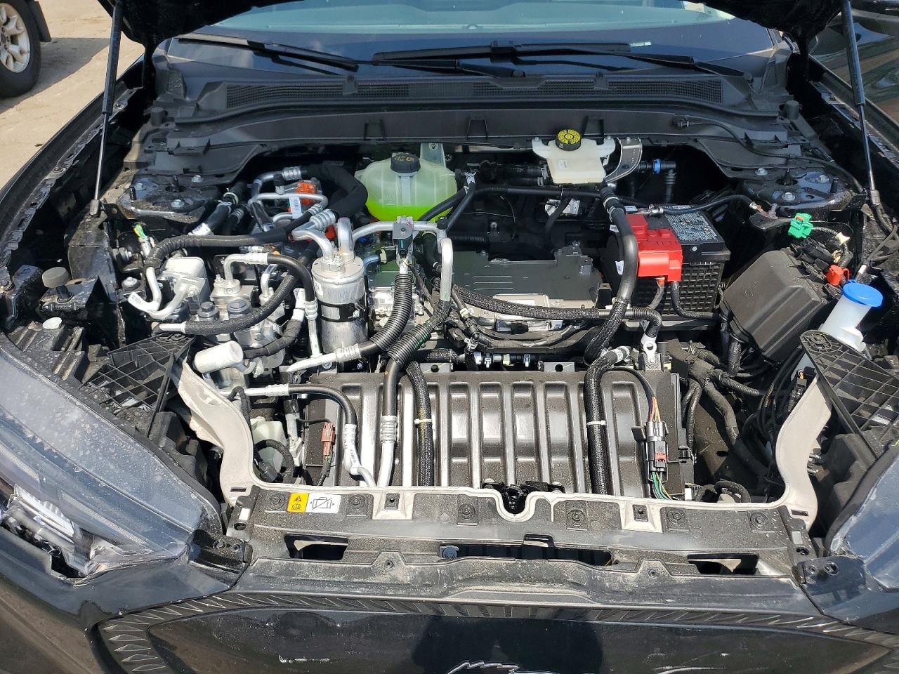 2026 FORD MUSTANG