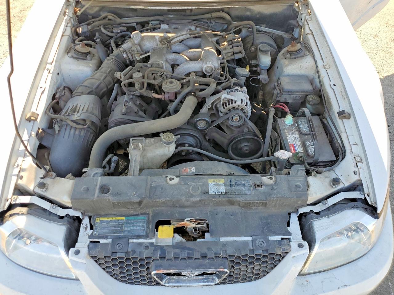 2004 FORD ALL Models