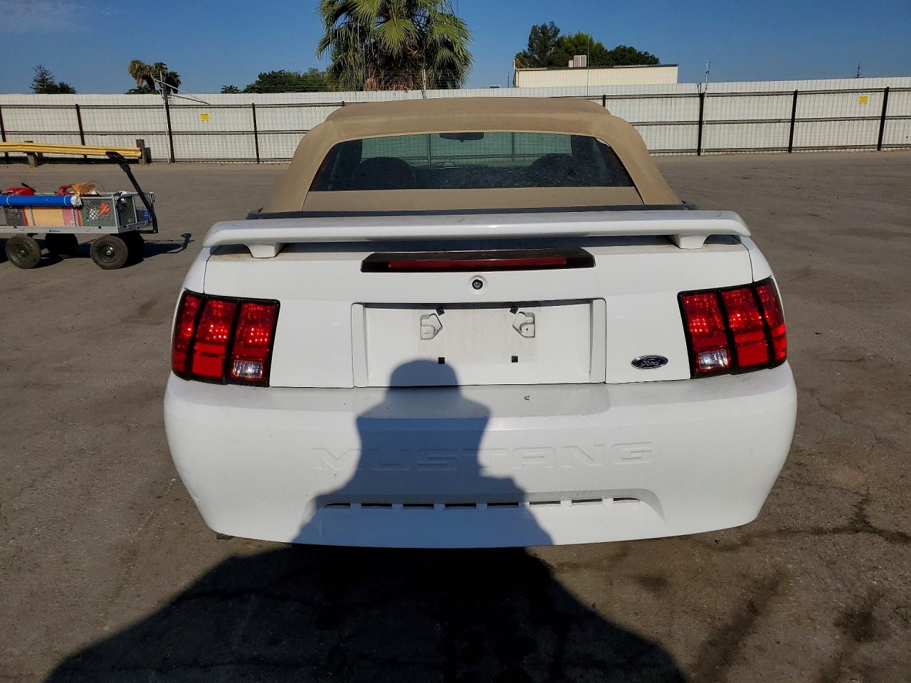 2004 FORD ALL Models
