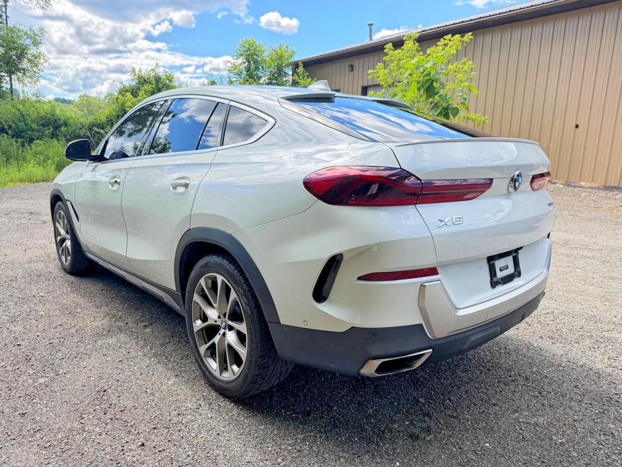 2020 BMW X6