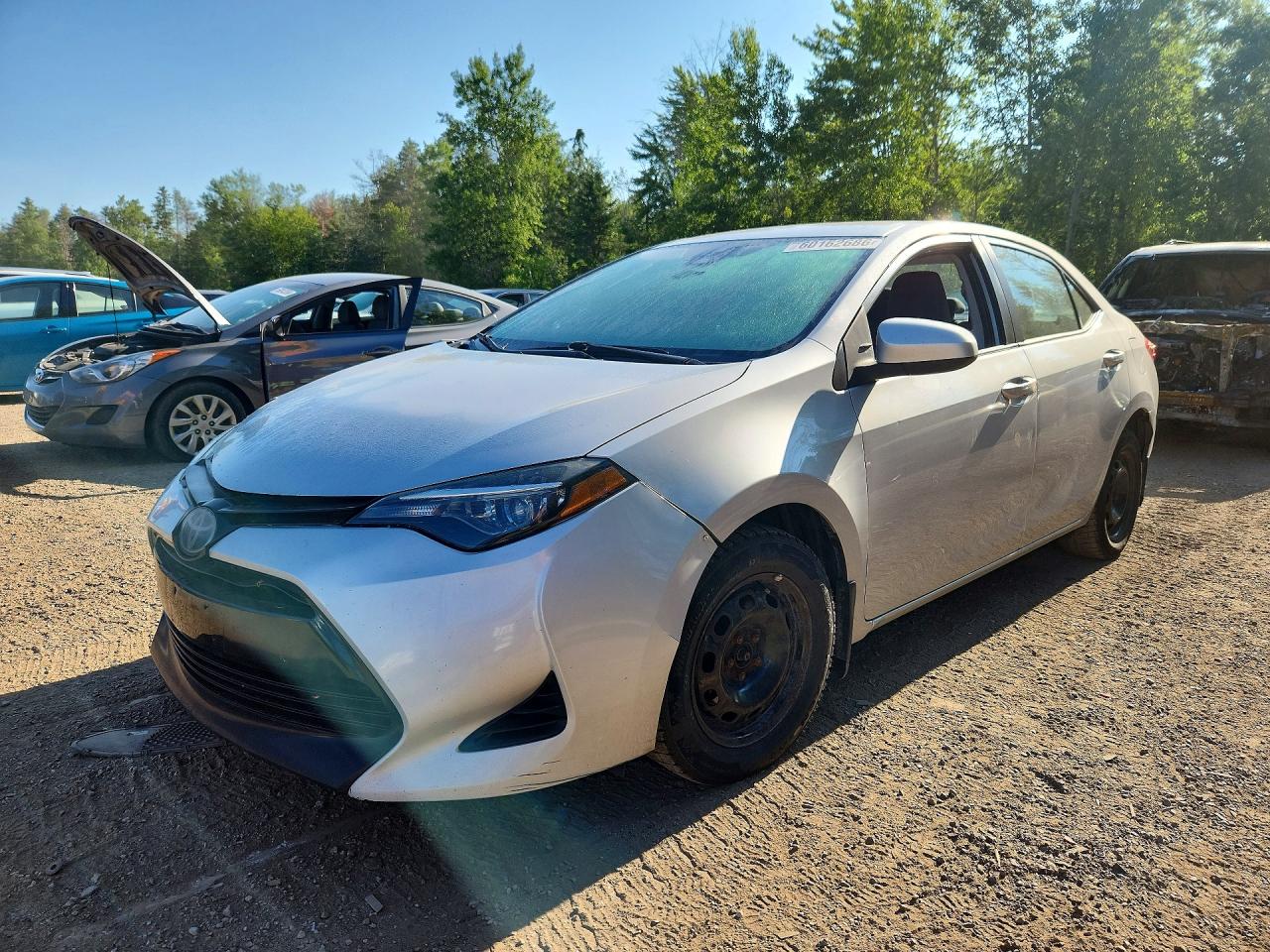 2019 TOYOTA COROLLA