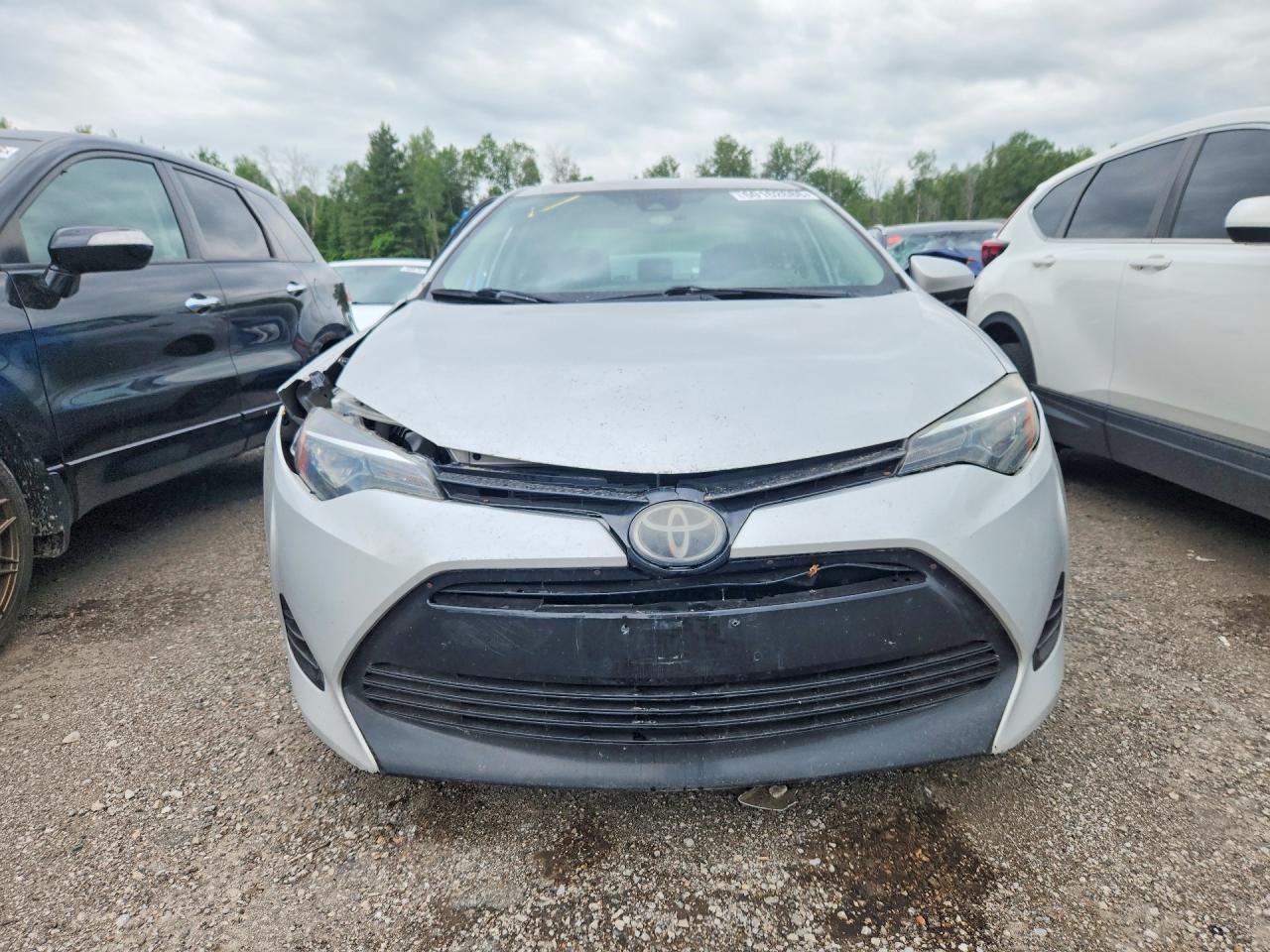 2019 TOYOTA COROLLA