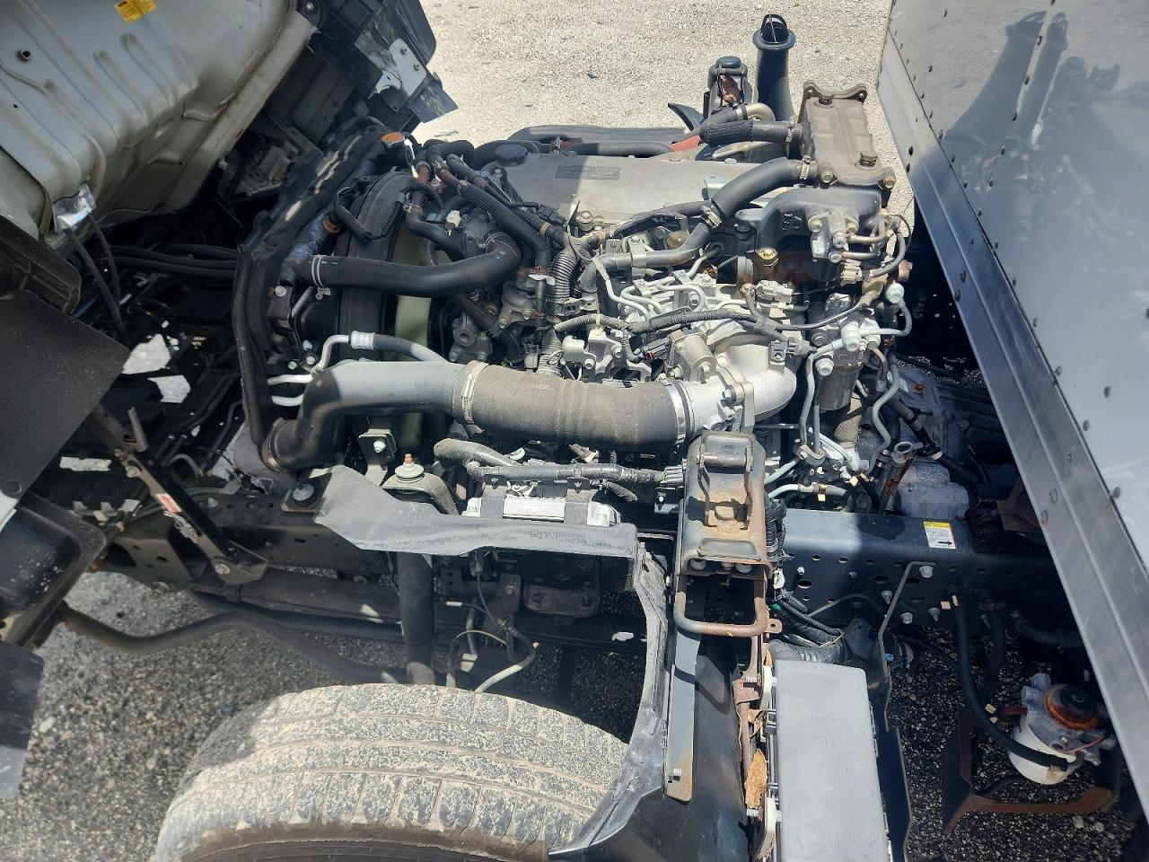 2019 ISUZU NPR