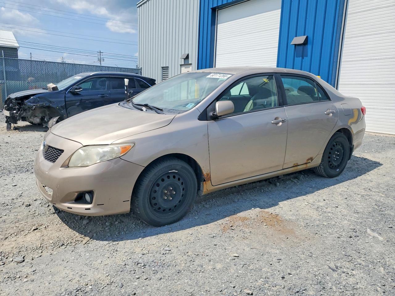 2009 TOYOTA COROLLA