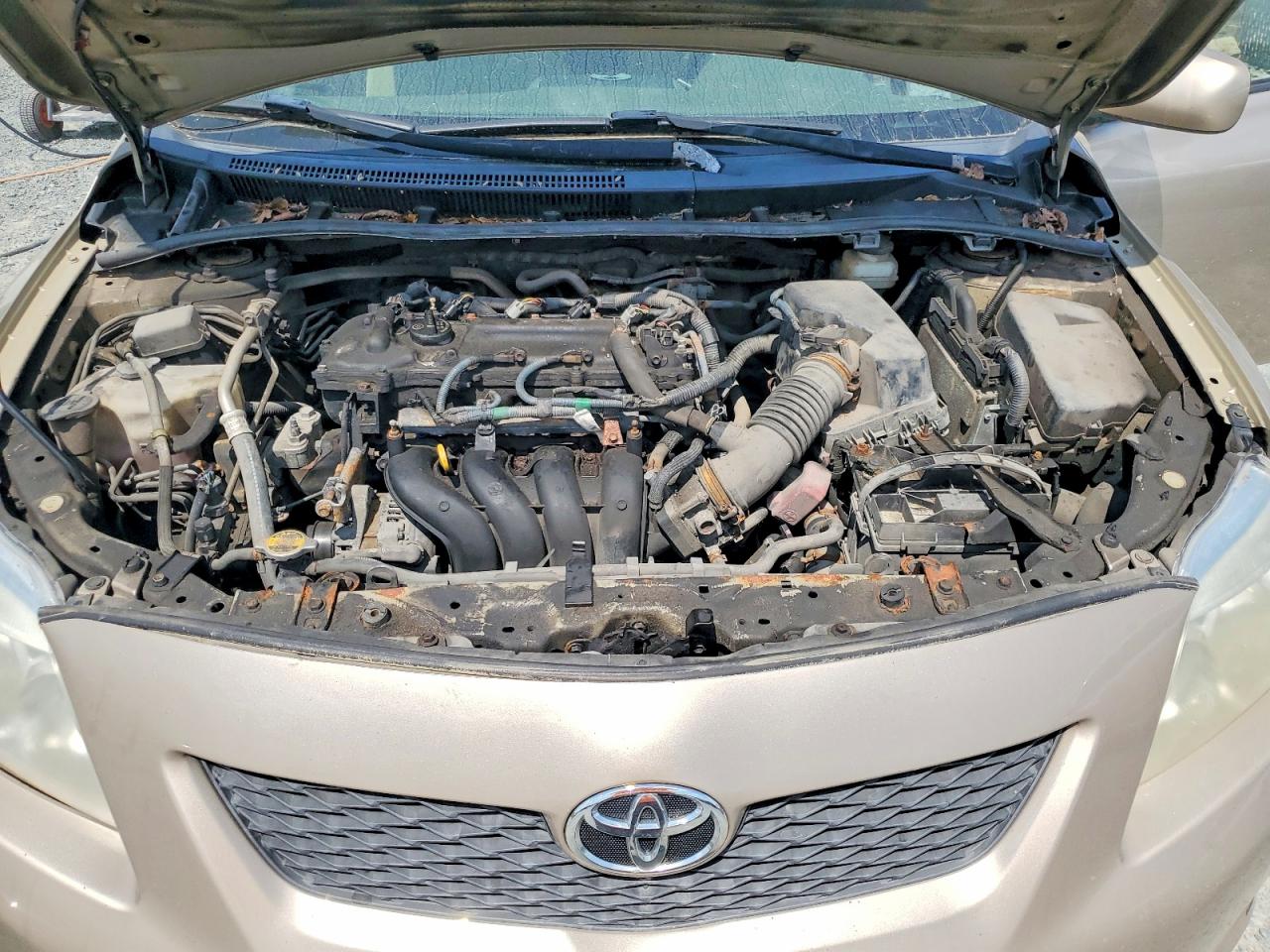 2009 TOYOTA COROLLA