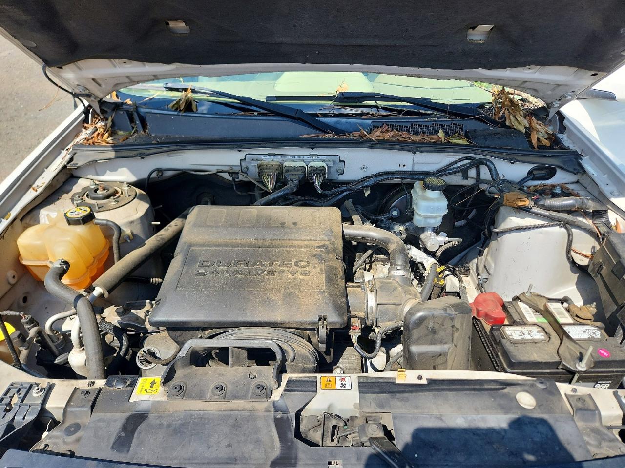 2009 FORD ESCAPE