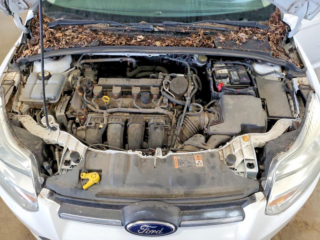 2014 FORD FOCUS