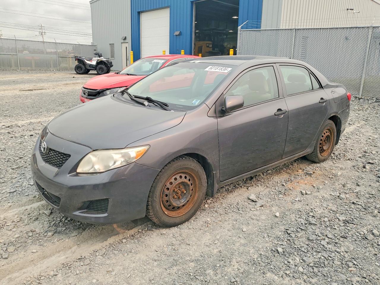 2009 TOYOTA COROLLA