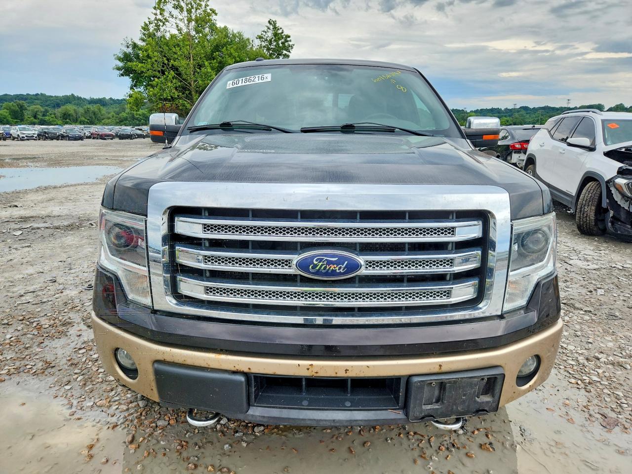 2014 FORD F150