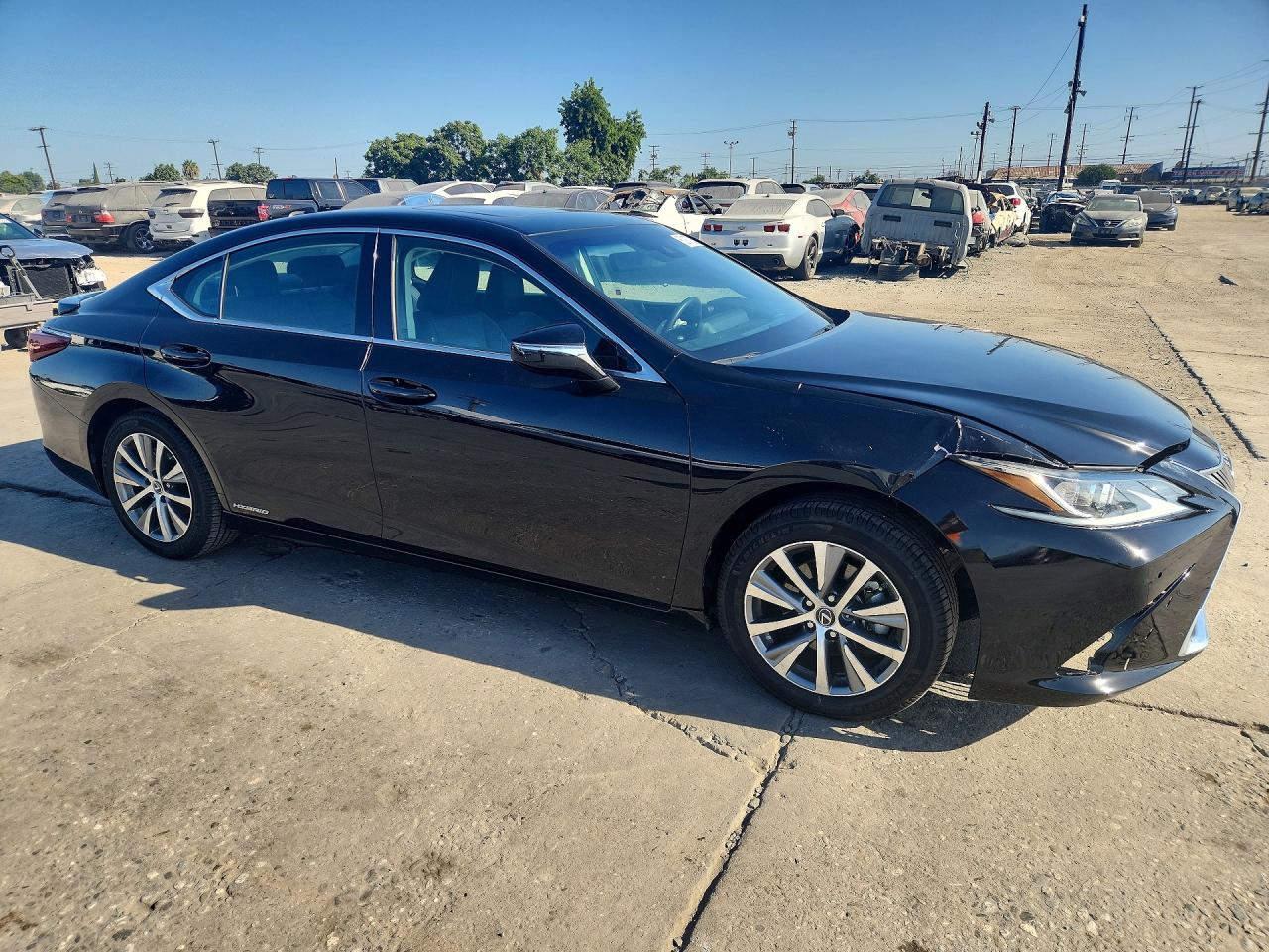 2019 LEXUS ES300