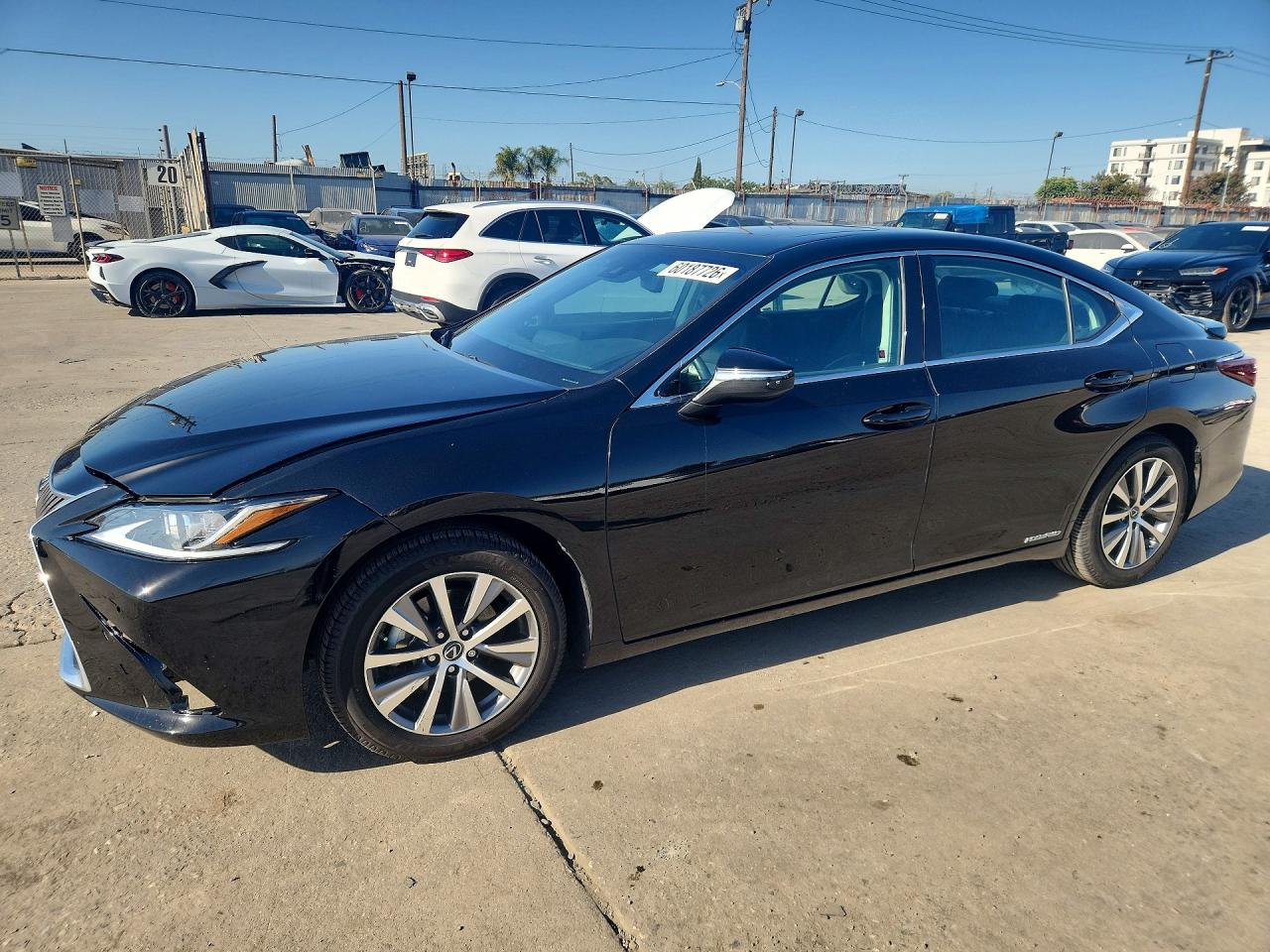 2019 LEXUS ES300