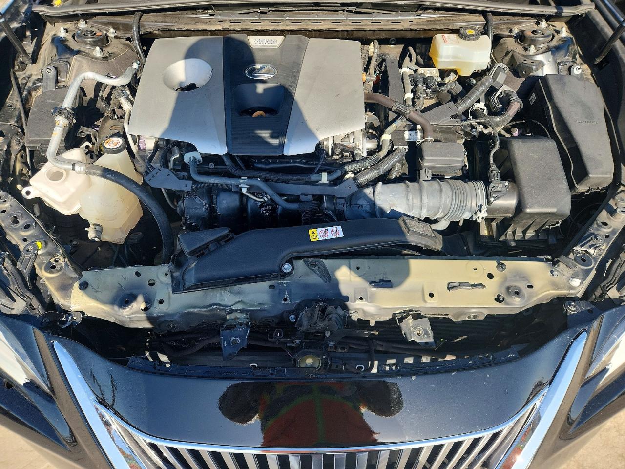 2019 LEXUS ES300