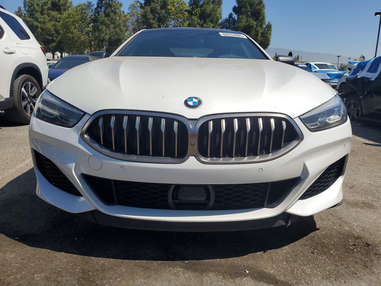 2020 BMW M8