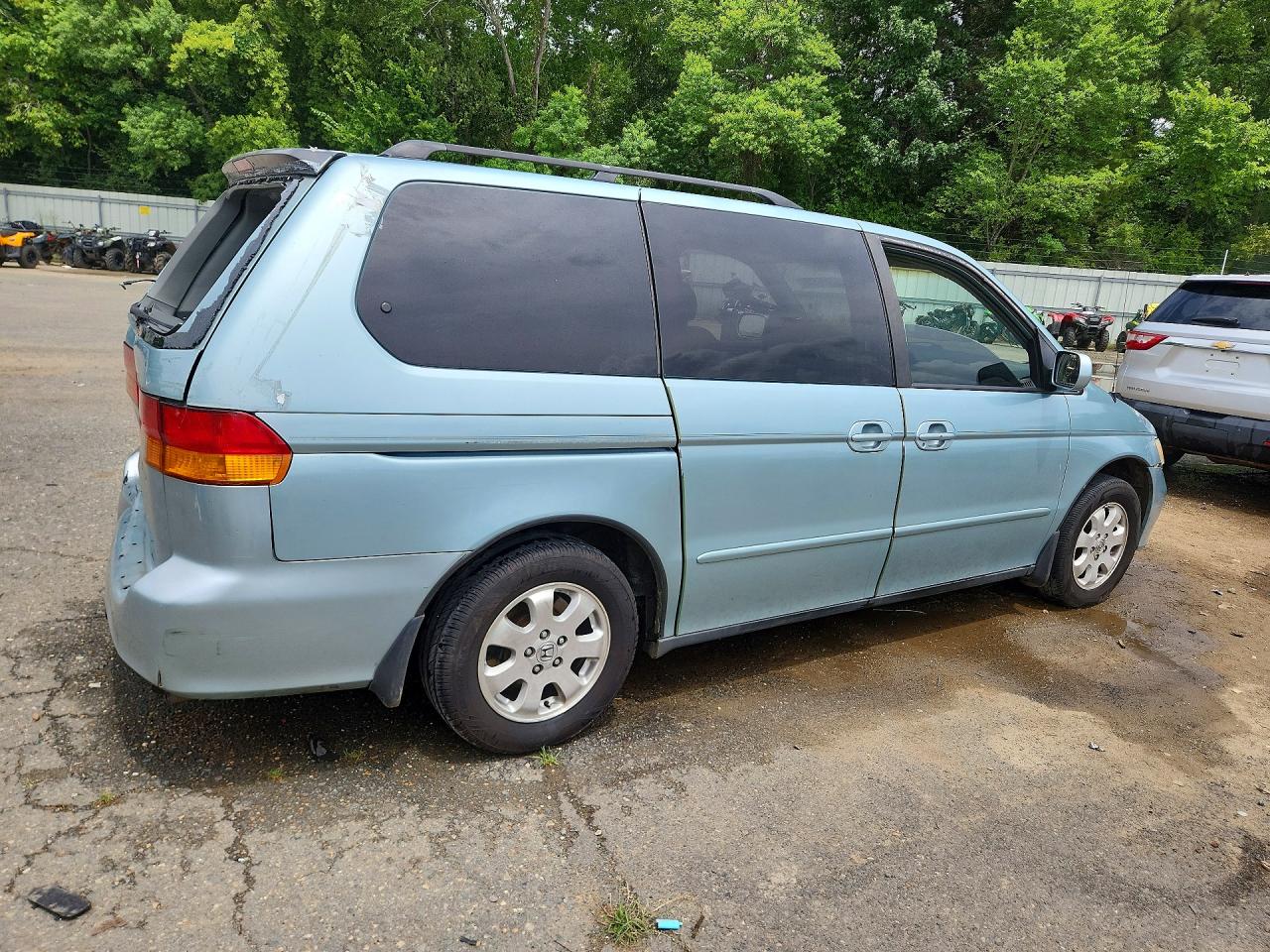 2004 HONDA All Models