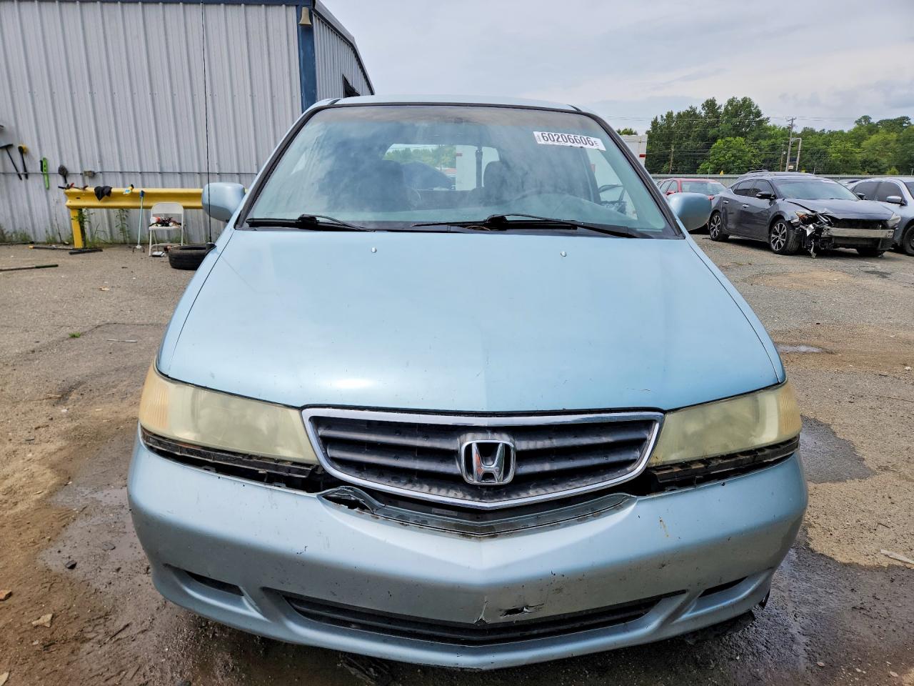 2004 HONDA All Models